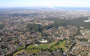 256_5684.jpg