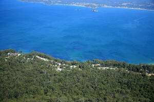 IMG_9973.JPG