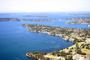 245_4593.jpg