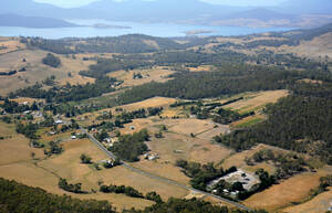 IMG_9674.JPG