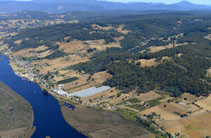 DSC_4478.JPG