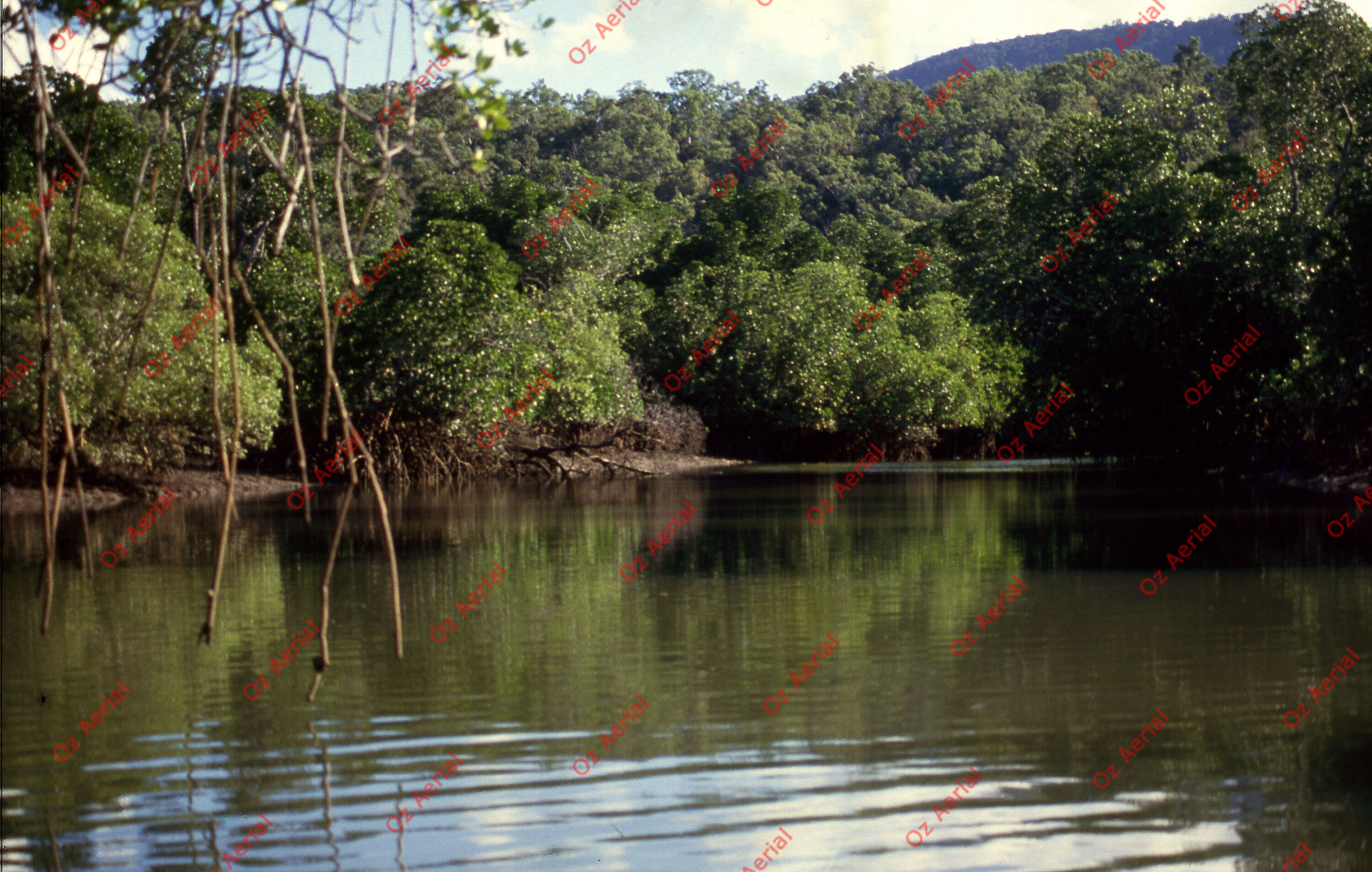 Rainforest to Reef&nbsp;&nbsp;–&nbsp;&nbsp;6095e0aa2eb19_i33.jpg