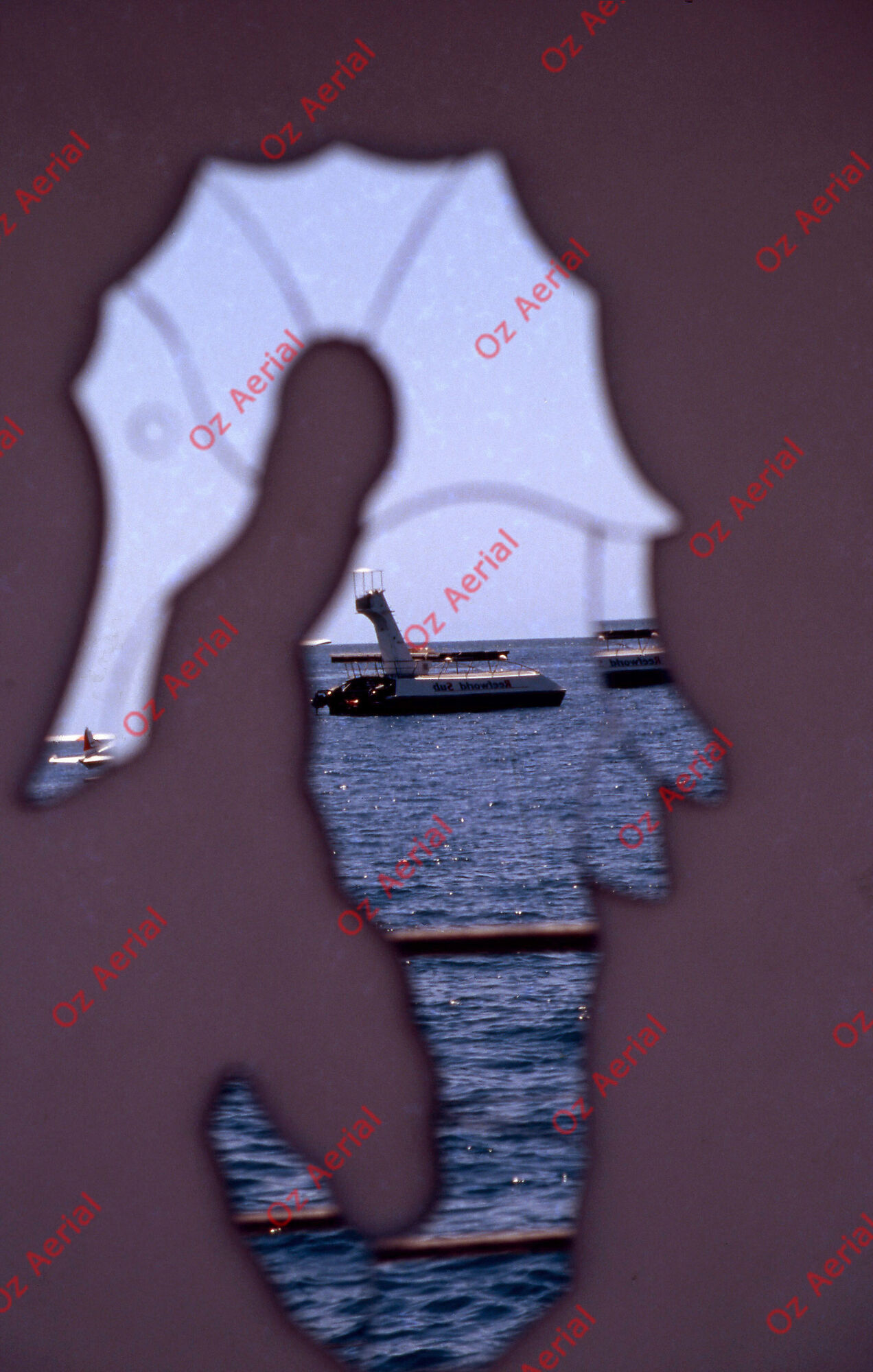 Something Fishy&nbsp;&nbsp;–&nbsp;&nbsp;6095ece546ceb_j63.jpg