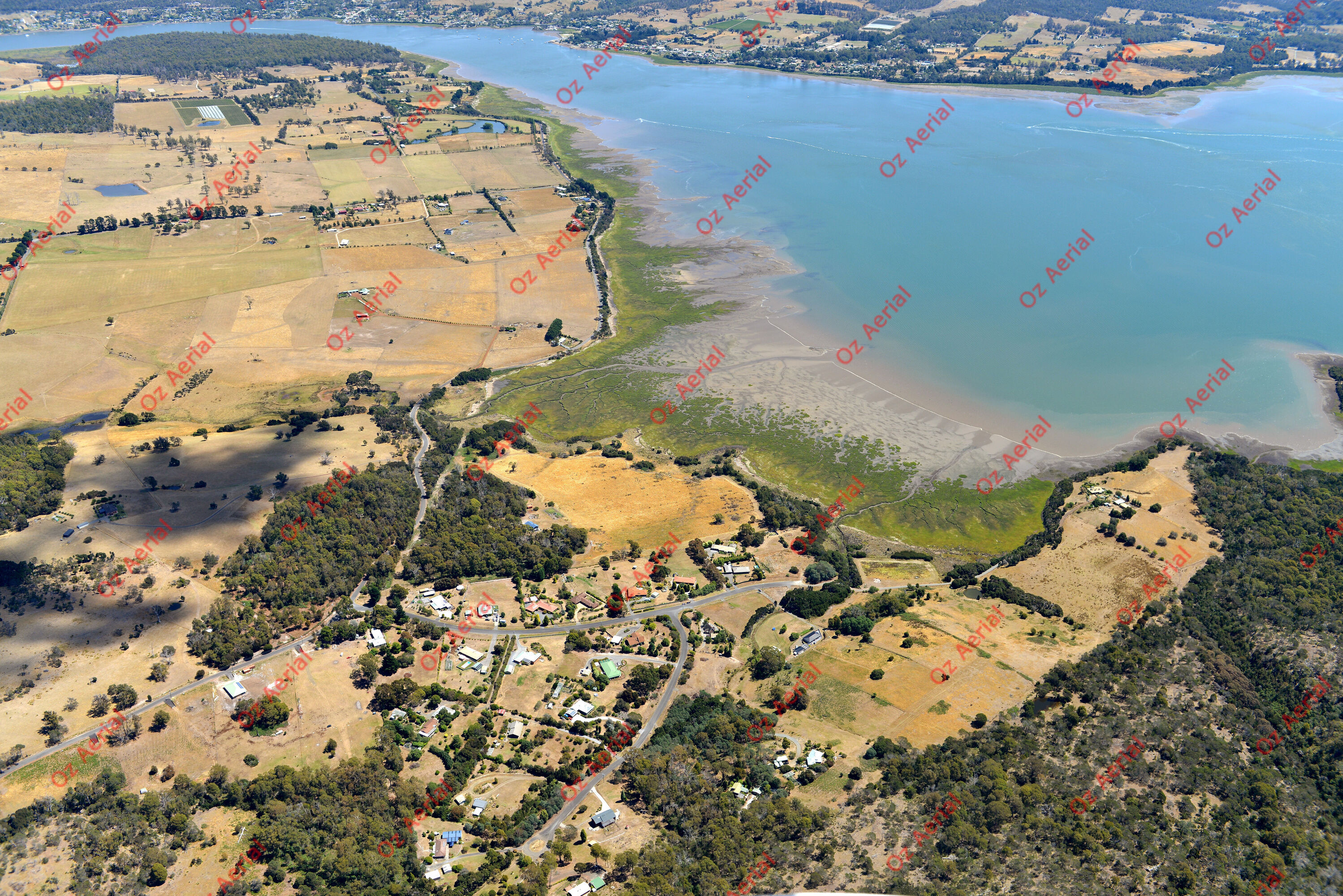 Swan Bay&nbsp;&nbsp;–&nbsp;&nbsp;DSC_3943.JPG