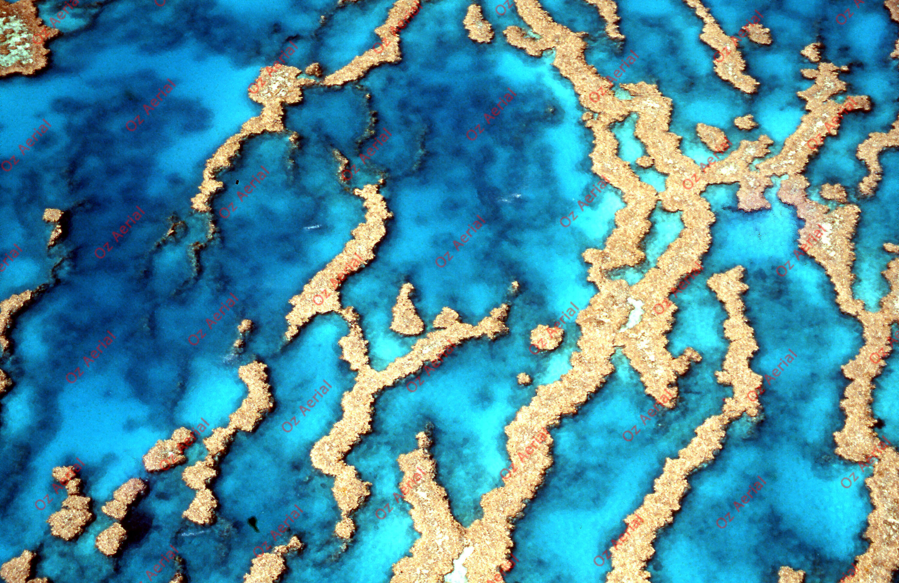 Rainforest to Reef&nbsp;&nbsp;–&nbsp;&nbsp;6095e0c575e2c_i56.jpg