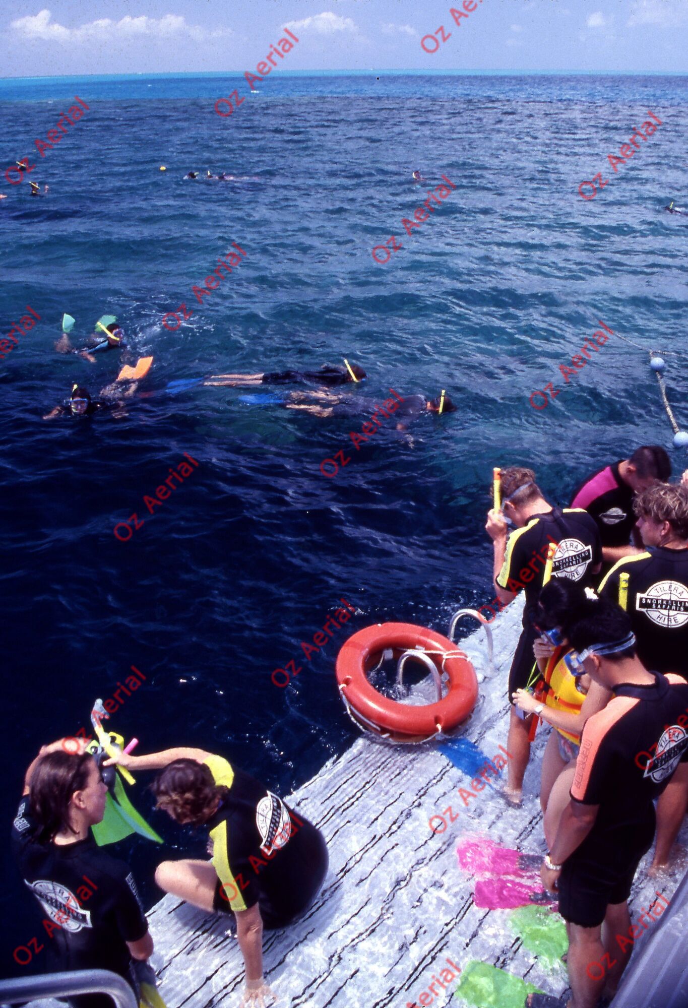 Something Fishy&nbsp;&nbsp;–&nbsp;&nbsp;6095ecd2016f3_j40.jpg