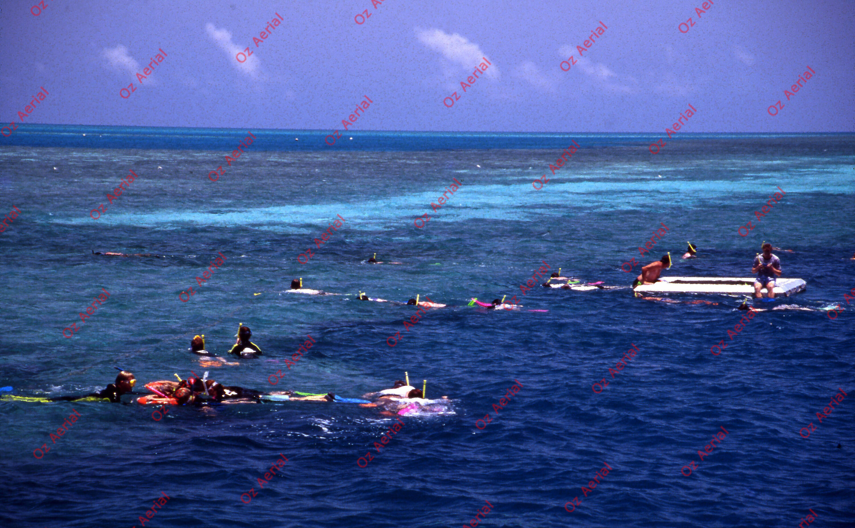 Rainforest to Reef&nbsp;&nbsp;–&nbsp;&nbsp;6095e0d658eae_i74.jpg