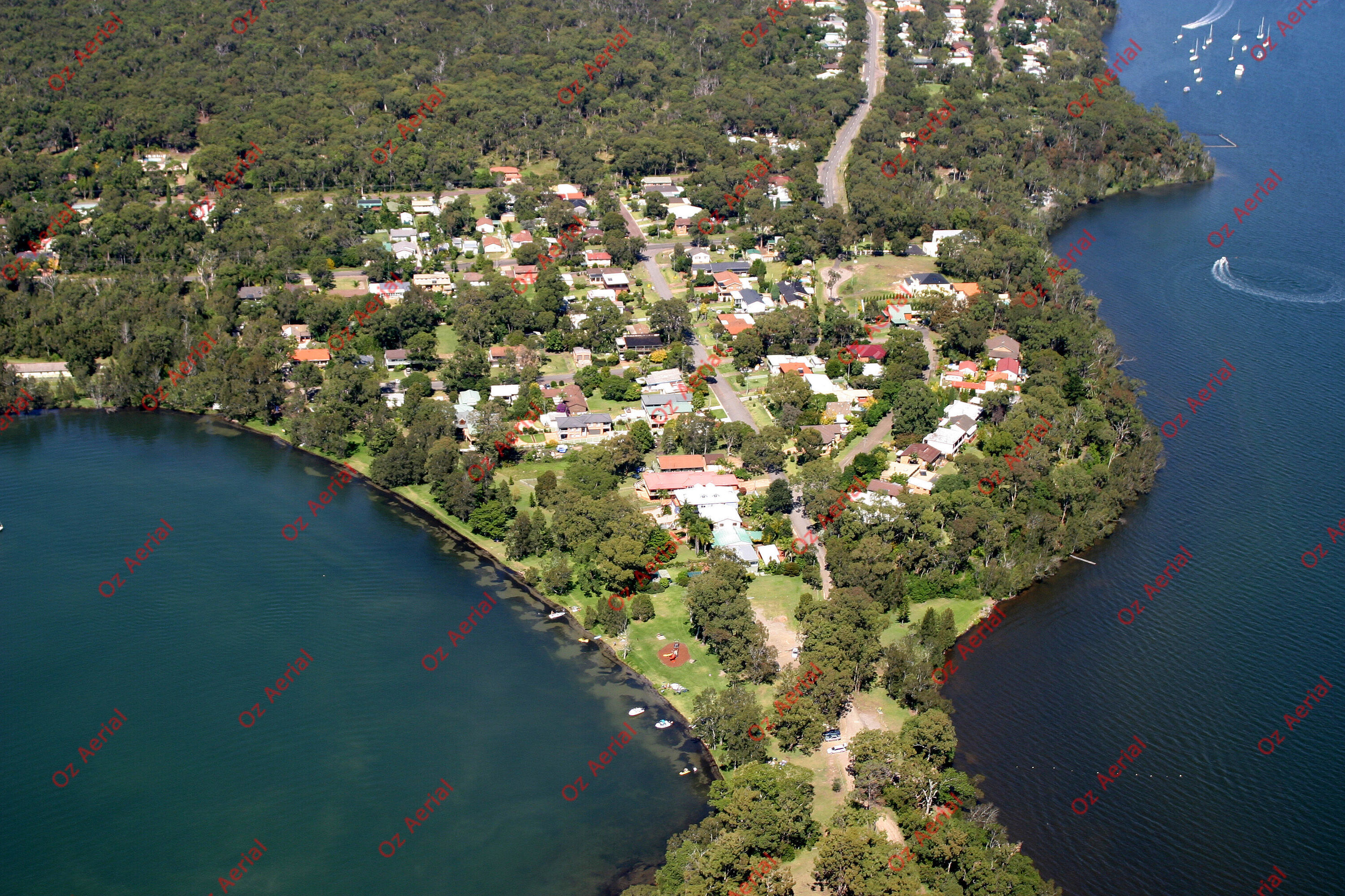 Balcolyn&nbsp;&nbsp;–&nbsp;&nbsp;246_4648.jpg