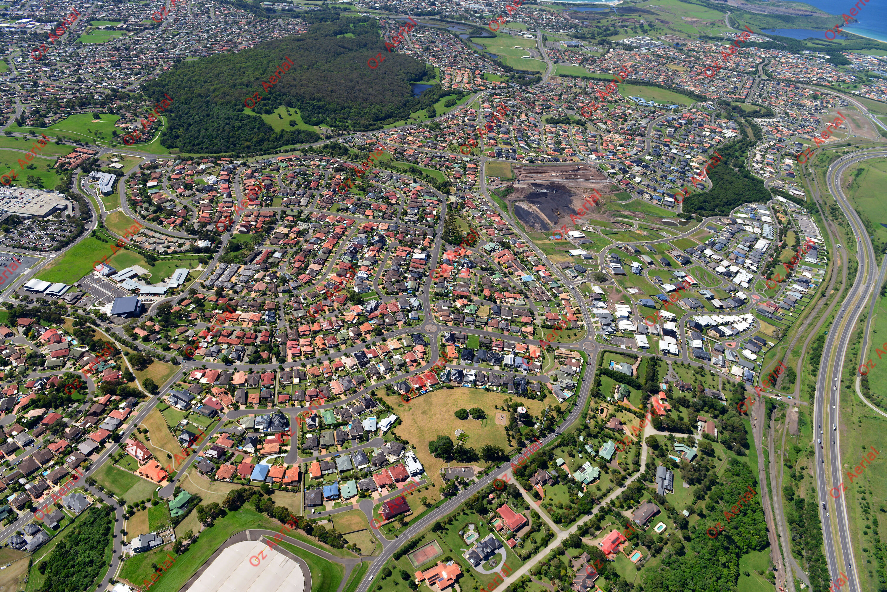 Blackbutt&nbsp;&nbsp;–&nbsp;&nbsp;DSC_5665.JPG