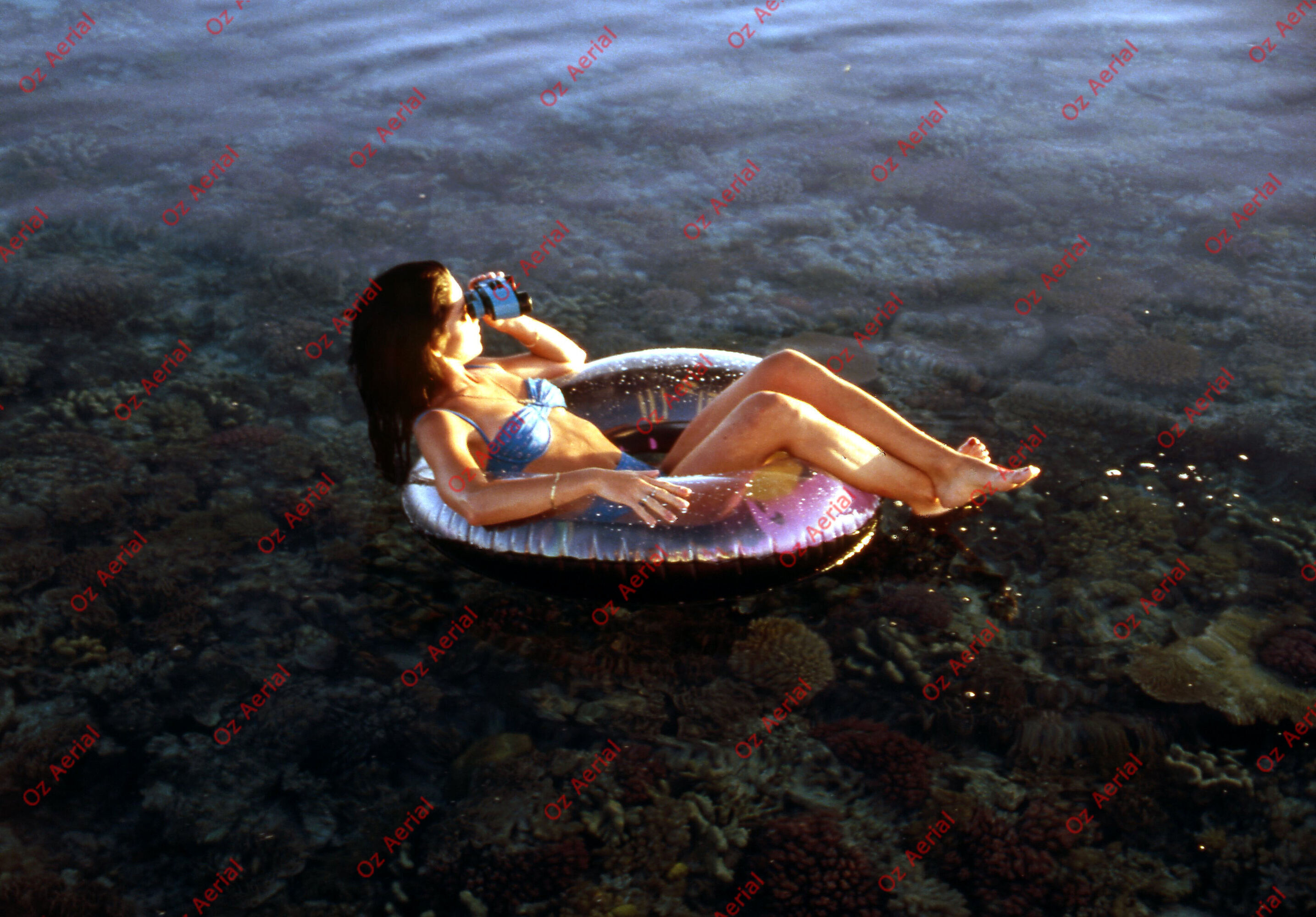 Fun in the Sun&nbsp;&nbsp;–&nbsp;&nbsp;6095d8a28c3a8_f74.jpg