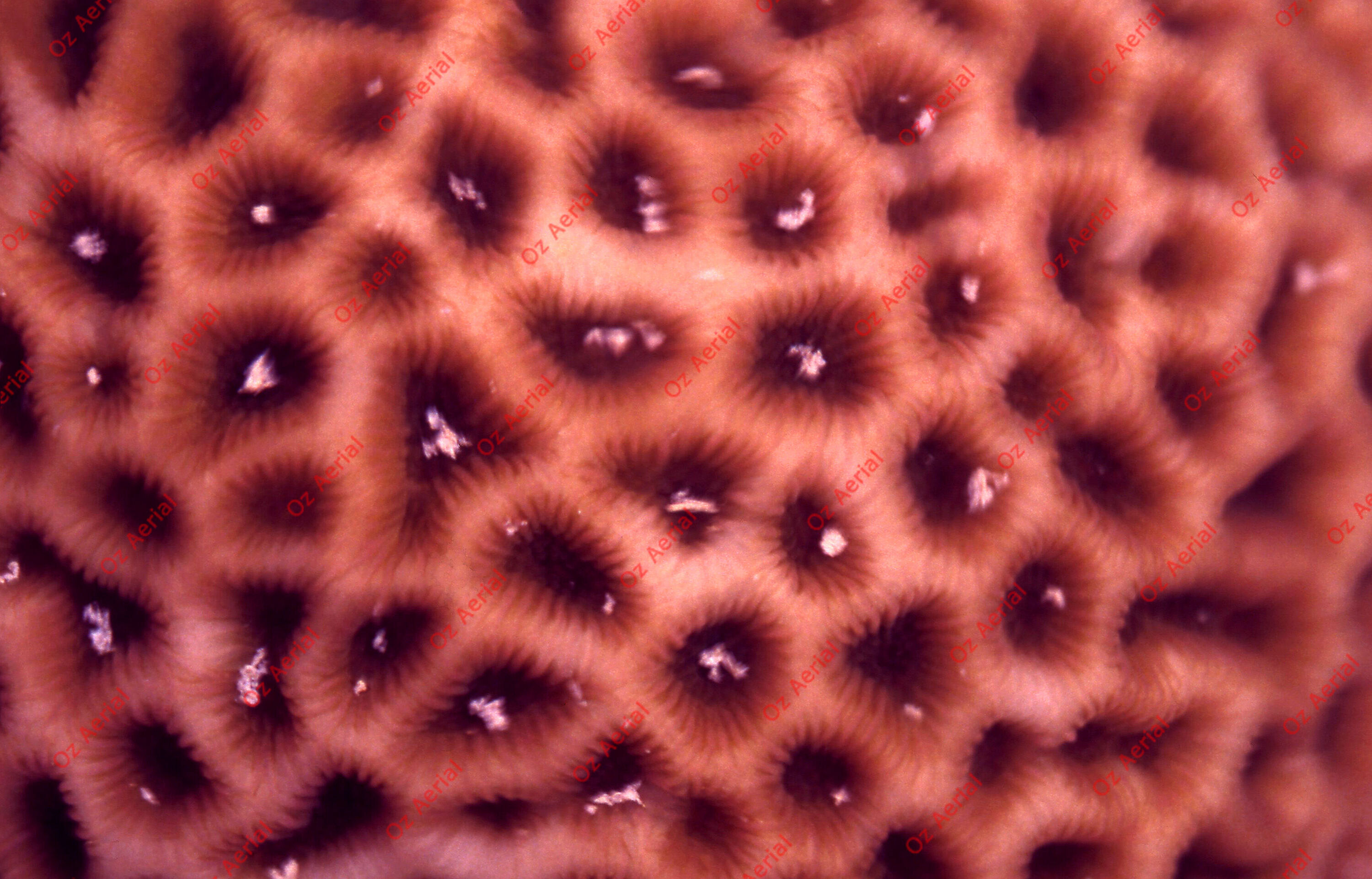 Something Fishy&nbsp;&nbsp;–&nbsp;&nbsp;6095ecfff0b33_j99.jpg