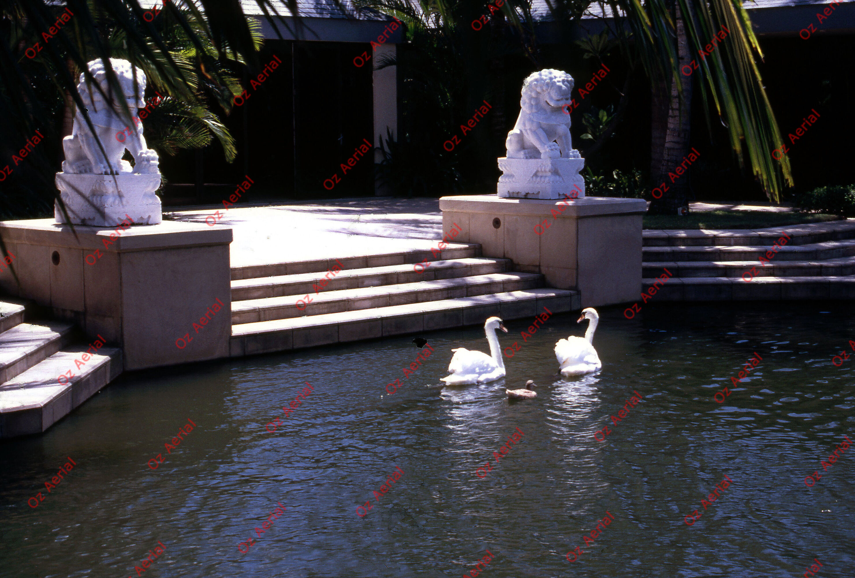 Island Resorts&nbsp;&nbsp;–&nbsp;&nbsp;6094e39f4f0fc_e21.jpg