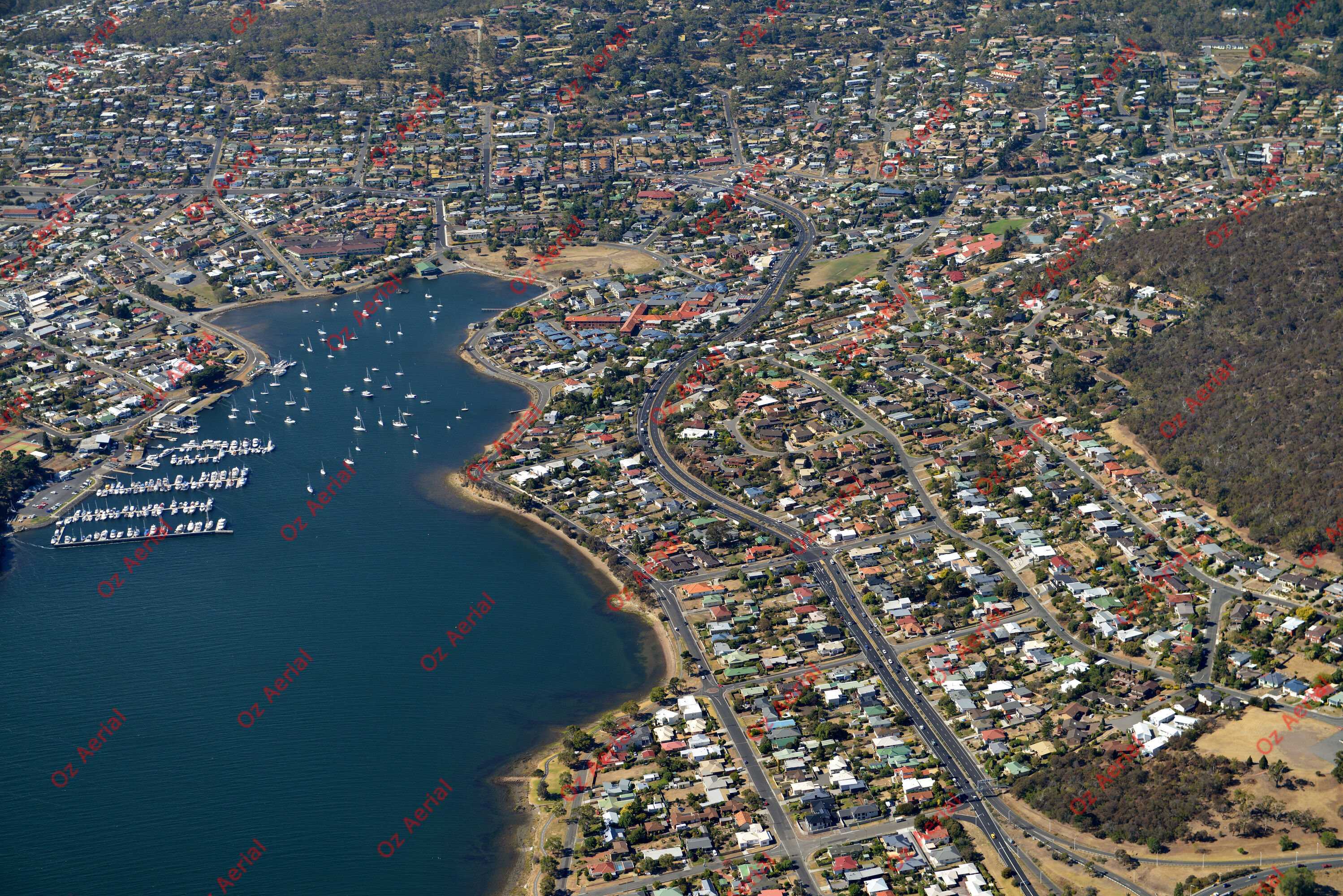 Rose Bay&nbsp;&nbsp;–&nbsp;&nbsp;DSC_5235.JPG