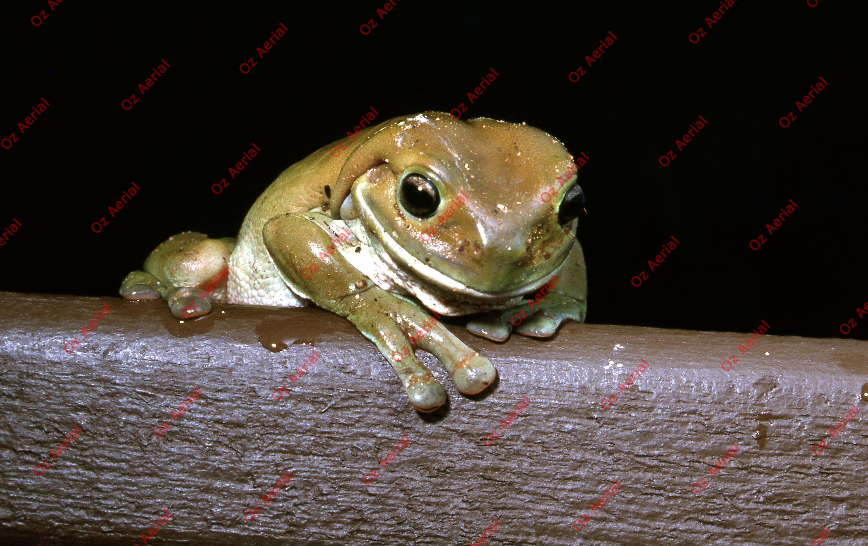 Rainforest to Reef&nbsp;&nbsp;–&nbsp;&nbsp;6095e086538c8_i01.jpg