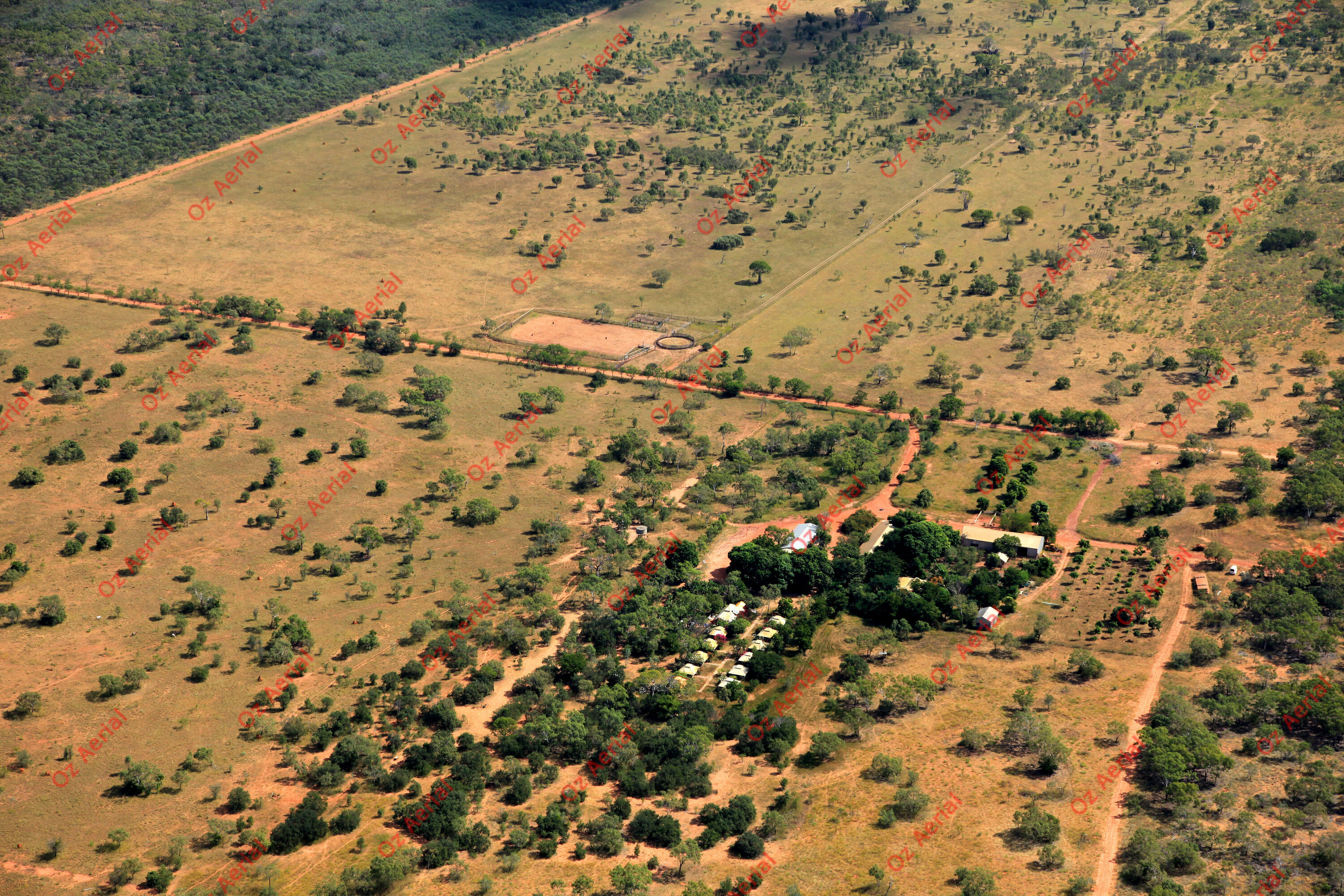 Birdwood Downs&nbsp;&nbsp;–&nbsp;&nbsp;IMG_4133.JPG