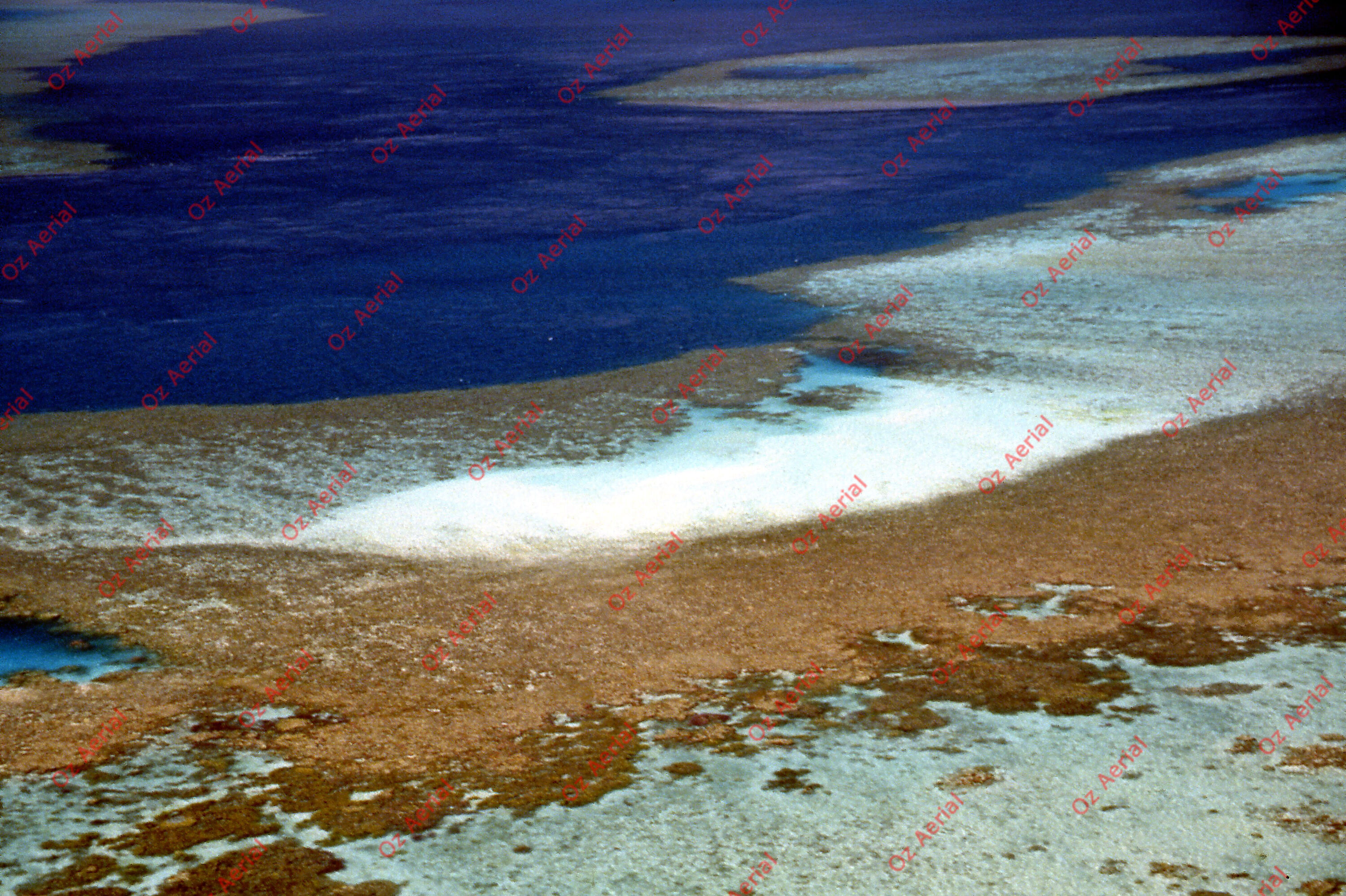 Rainforest to Reef&nbsp;&nbsp;–&nbsp;&nbsp;6095e0df3fcb2_i80.jpg