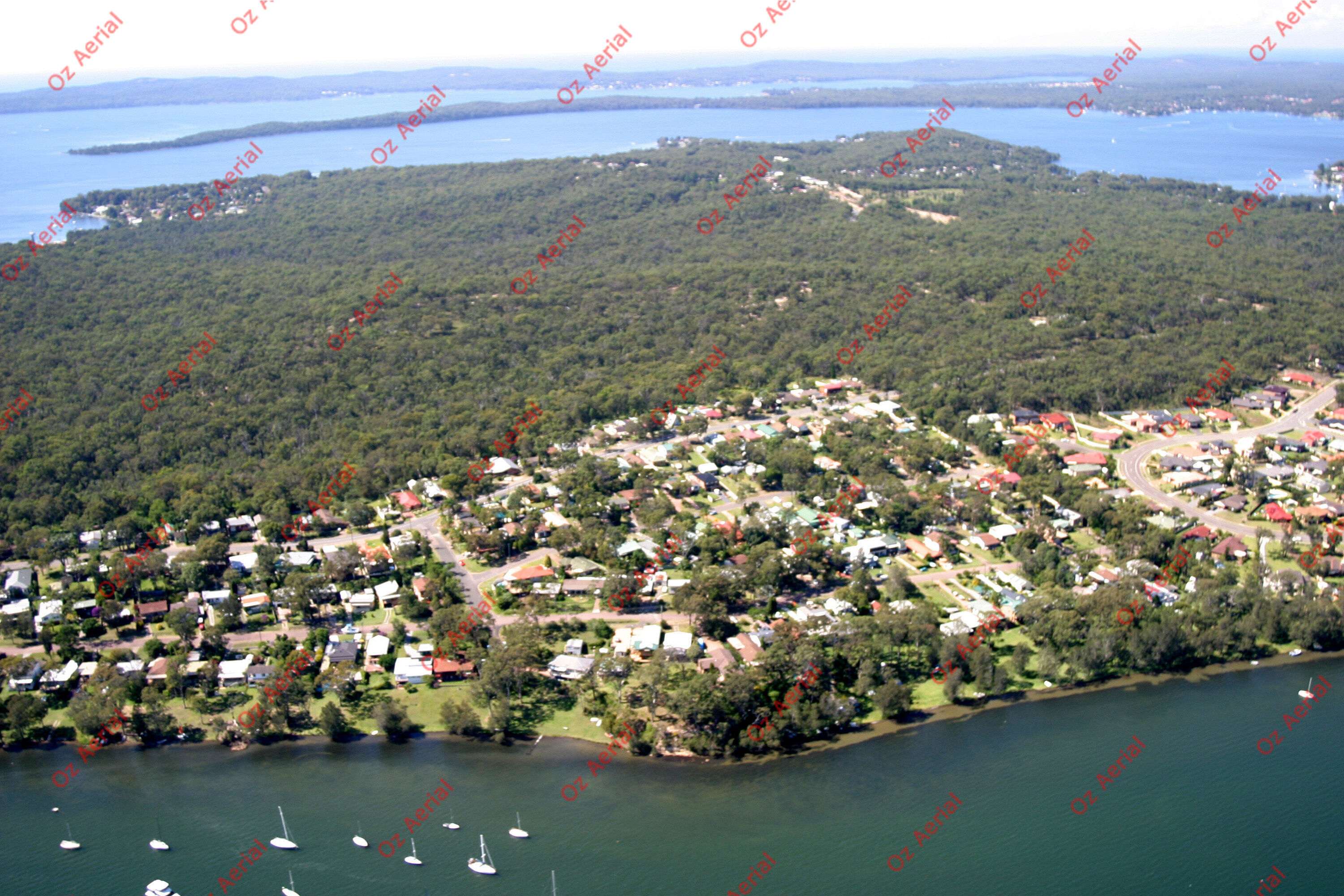 Mirrabooka&nbsp;&nbsp;–&nbsp;&nbsp;246_4646.jpg