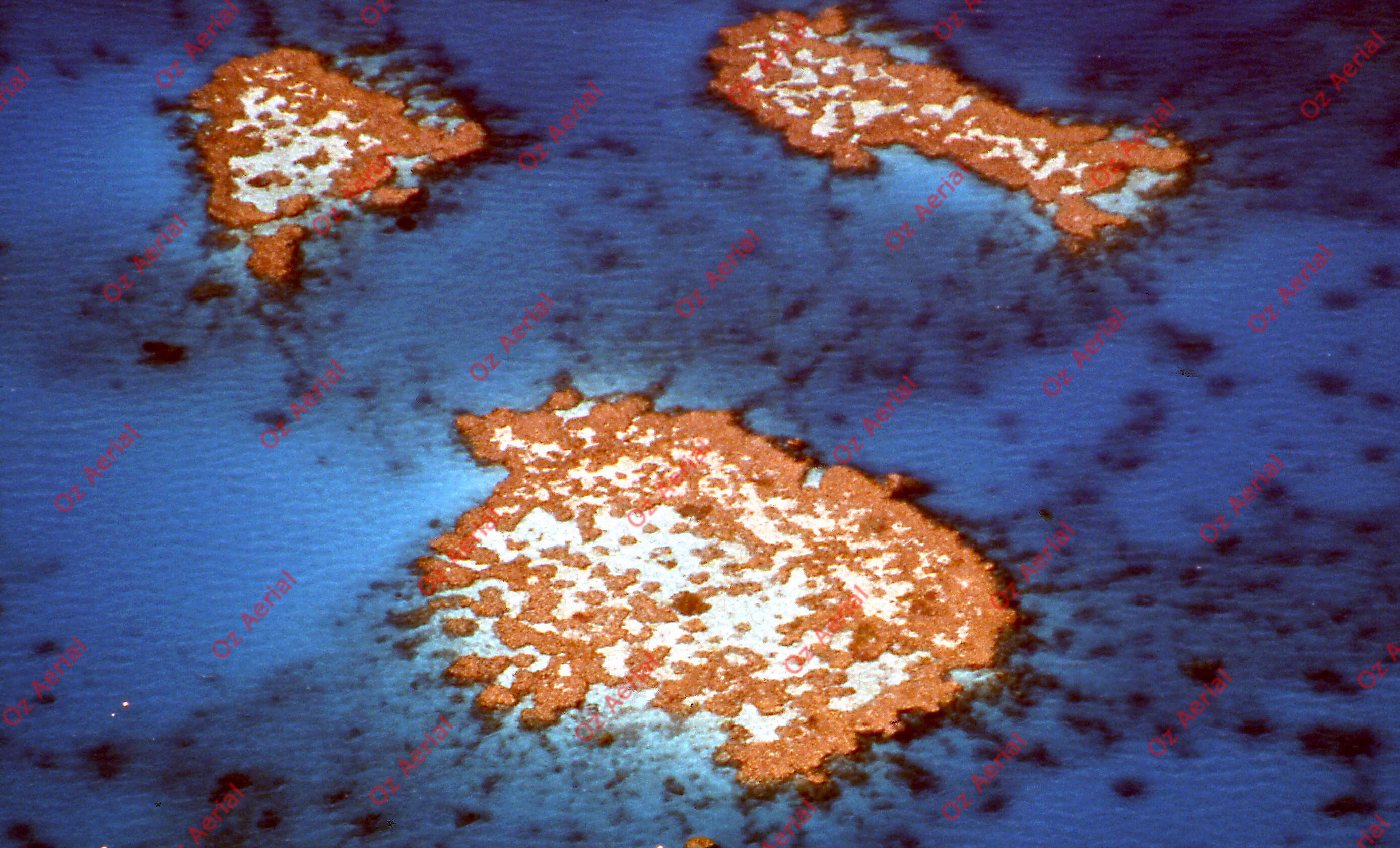 Rainforest to Reef&nbsp;&nbsp;–&nbsp;&nbsp;6095e0d88de2f_i78.jpg