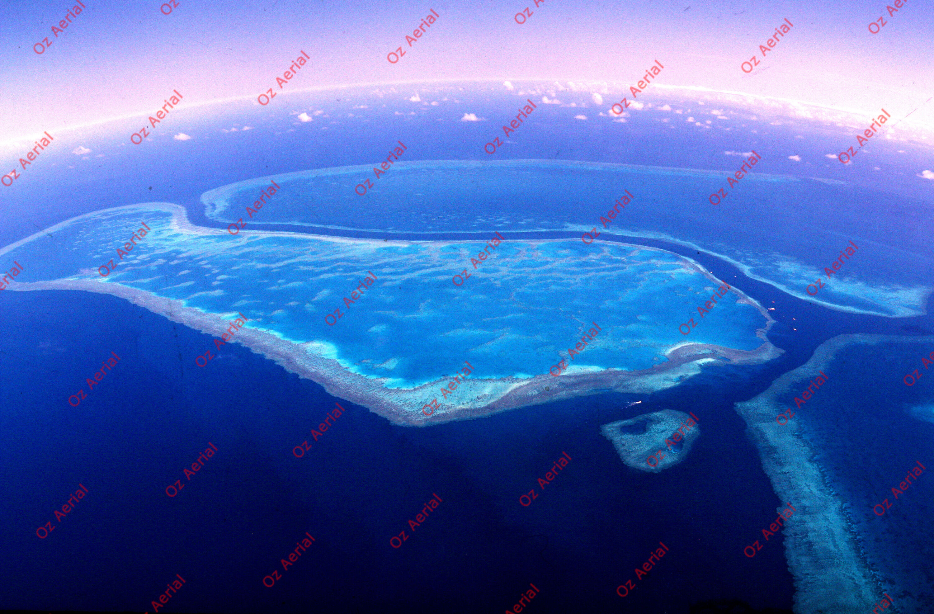 Rainforest to Reef&nbsp;&nbsp;–&nbsp;&nbsp;6095e0e7d957d_i85.JPG