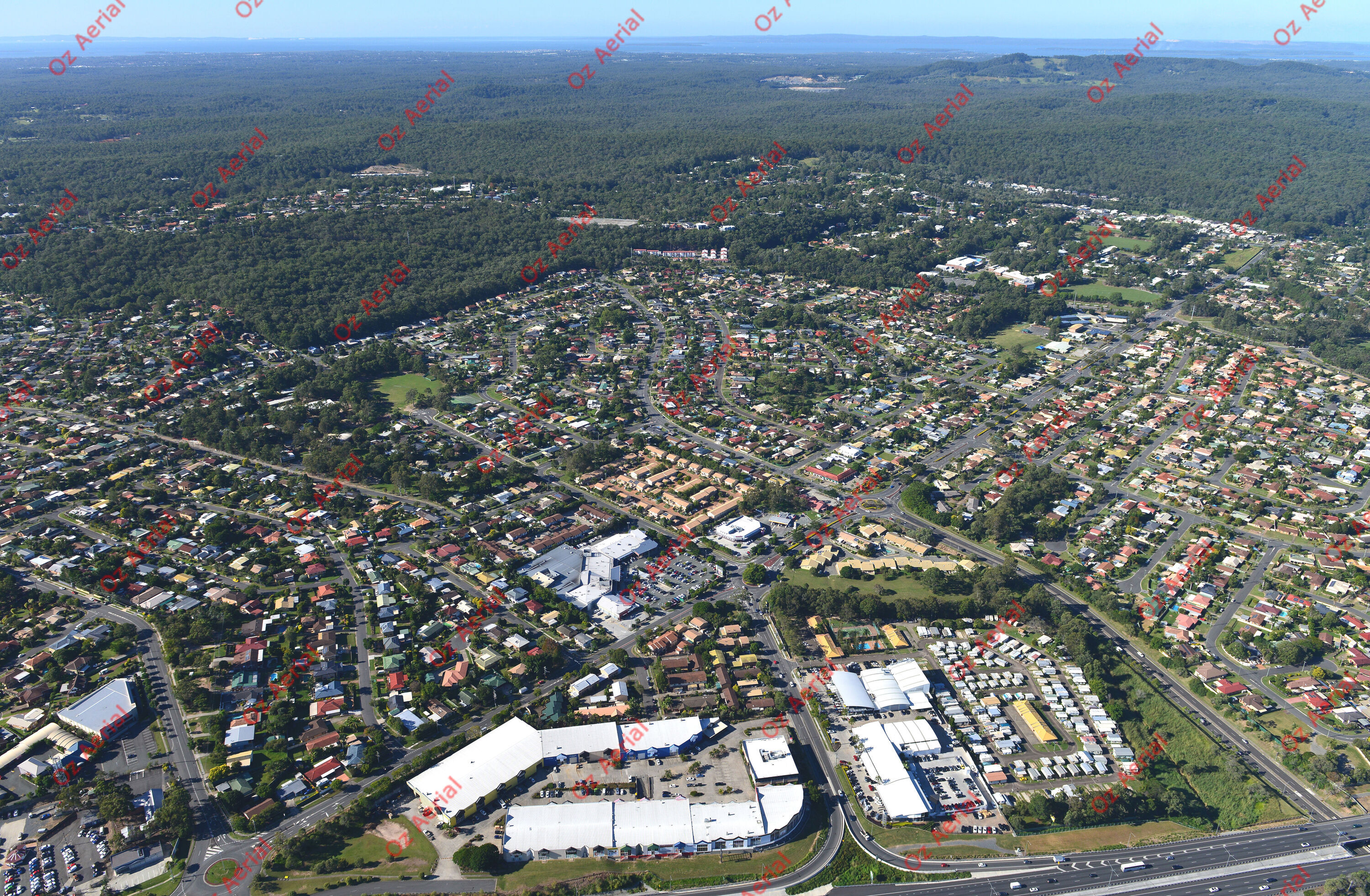 Daisy Hill&nbsp;&nbsp;–&nbsp;&nbsp;6035d7c732967_DSC_0124.JPG