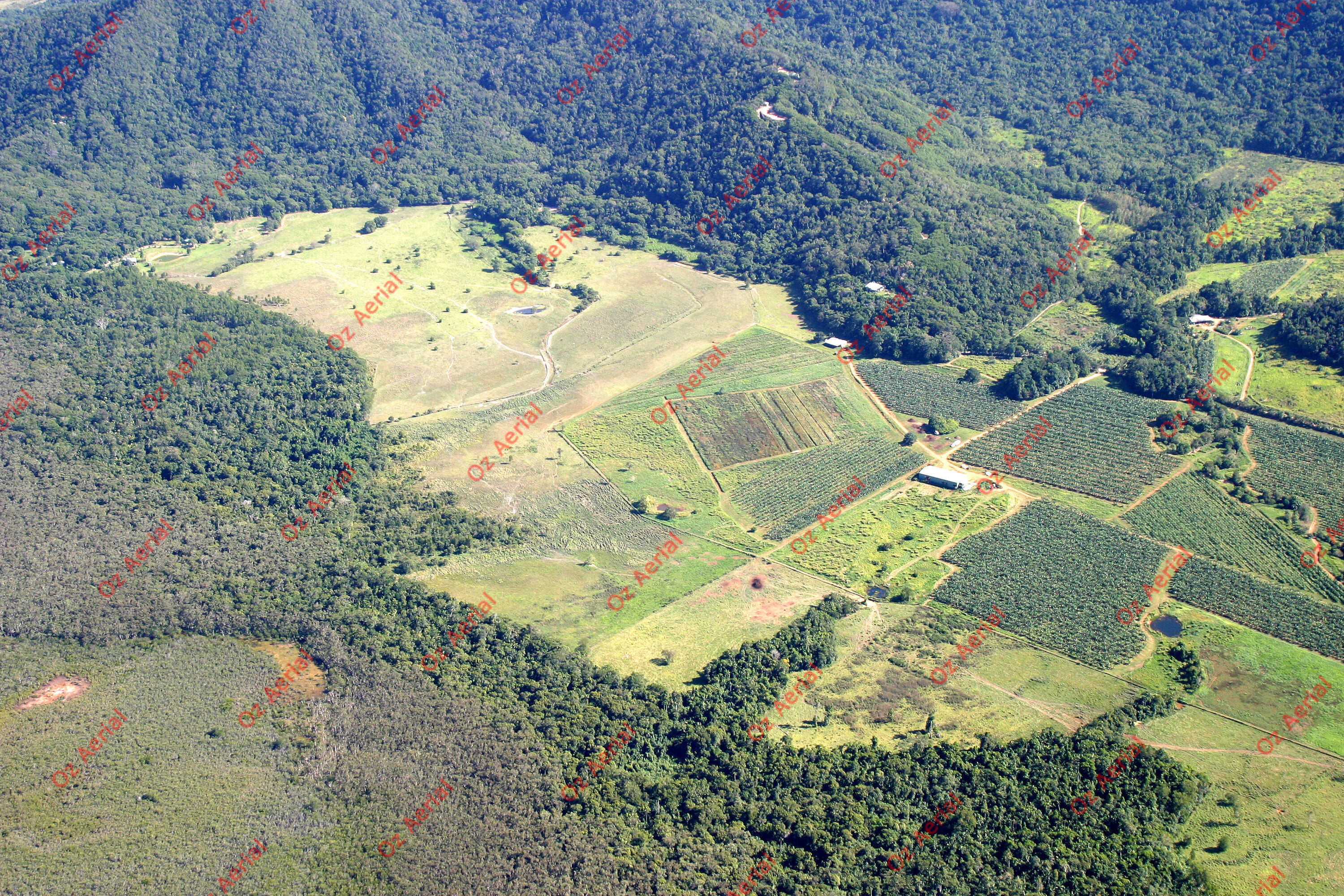 Doyle Creek&nbsp;&nbsp;–&nbsp;&nbsp;193_9346.jpg