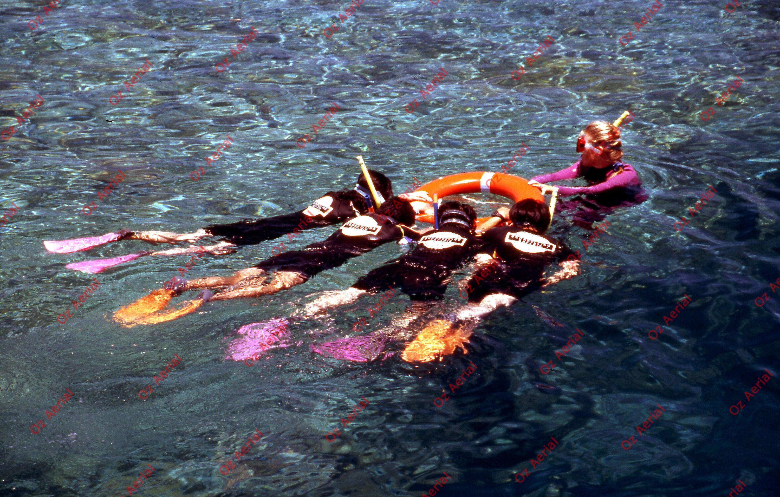 Something Fishy&nbsp;&nbsp;–&nbsp;&nbsp;6095ecb598870_j06.jpg