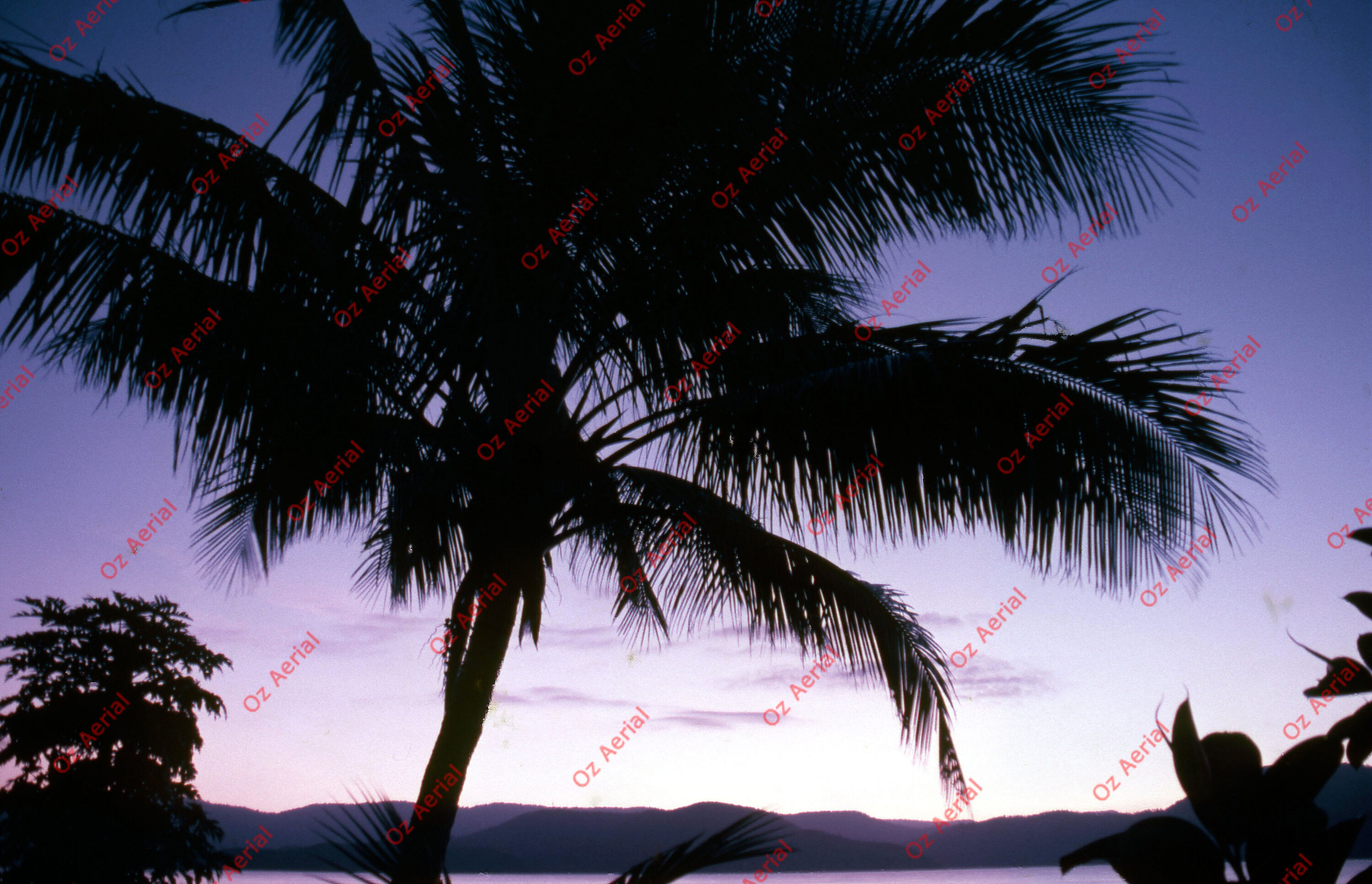 Airlie Beach&nbsp;&nbsp;–&nbsp;&nbsp;6094b7324572e_a44.jpg