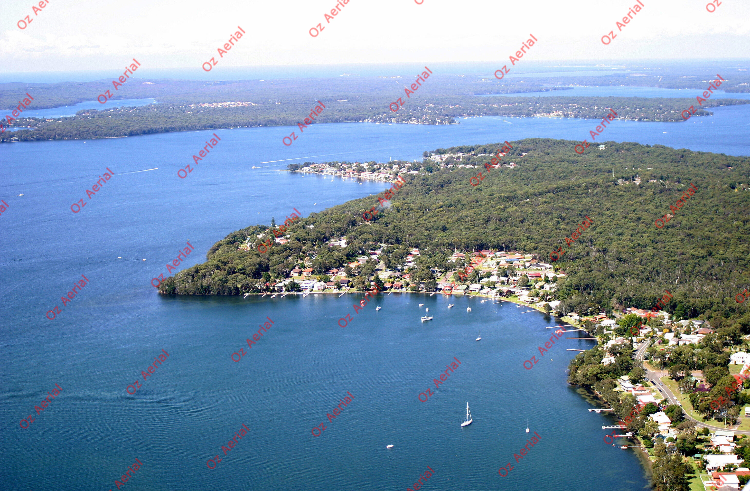 Balcolyn&nbsp;&nbsp;–&nbsp;&nbsp;246_4649.jpg