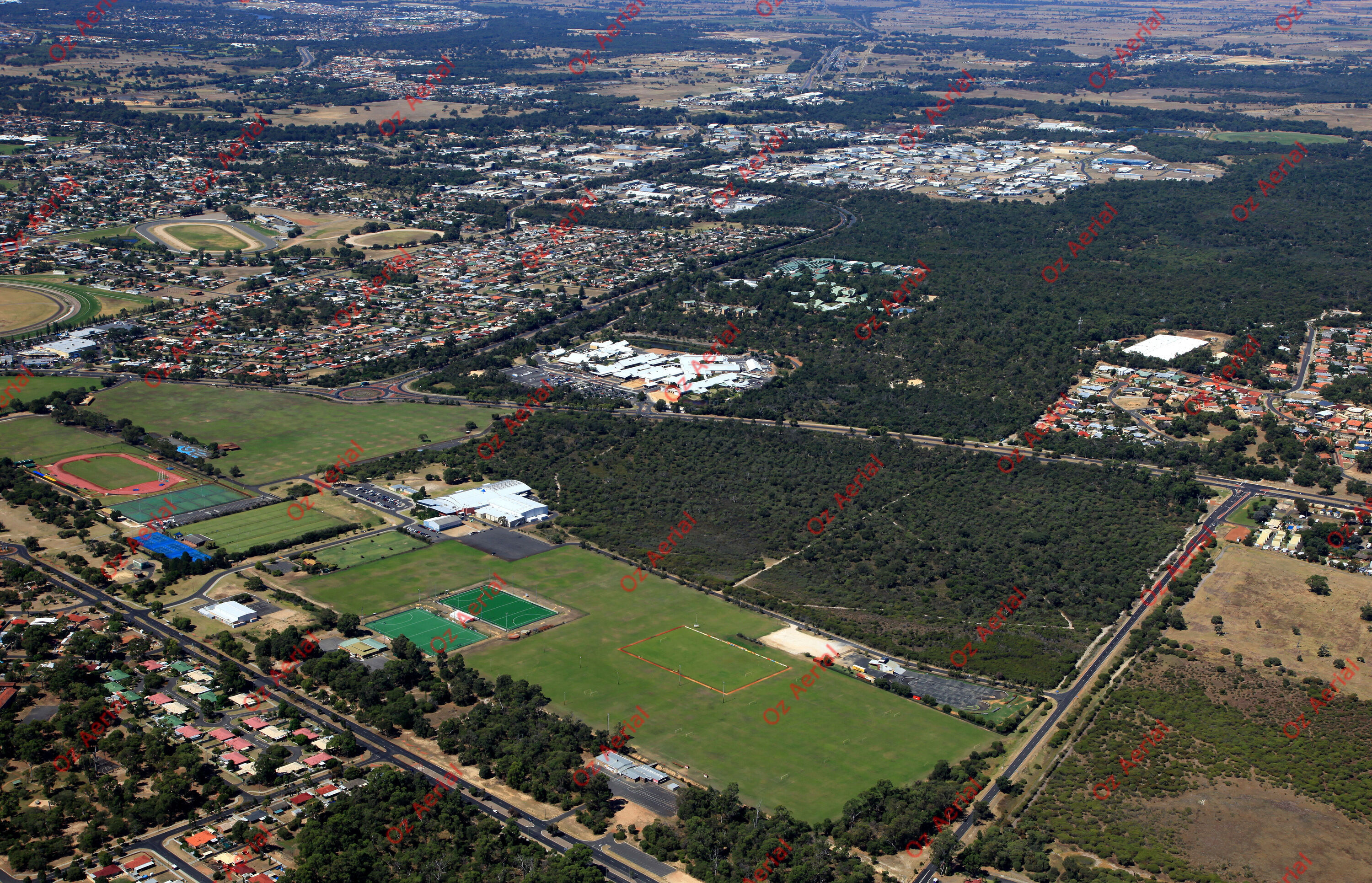 College Grove&nbsp;&nbsp;–&nbsp;&nbsp;IMG_9315.JPG