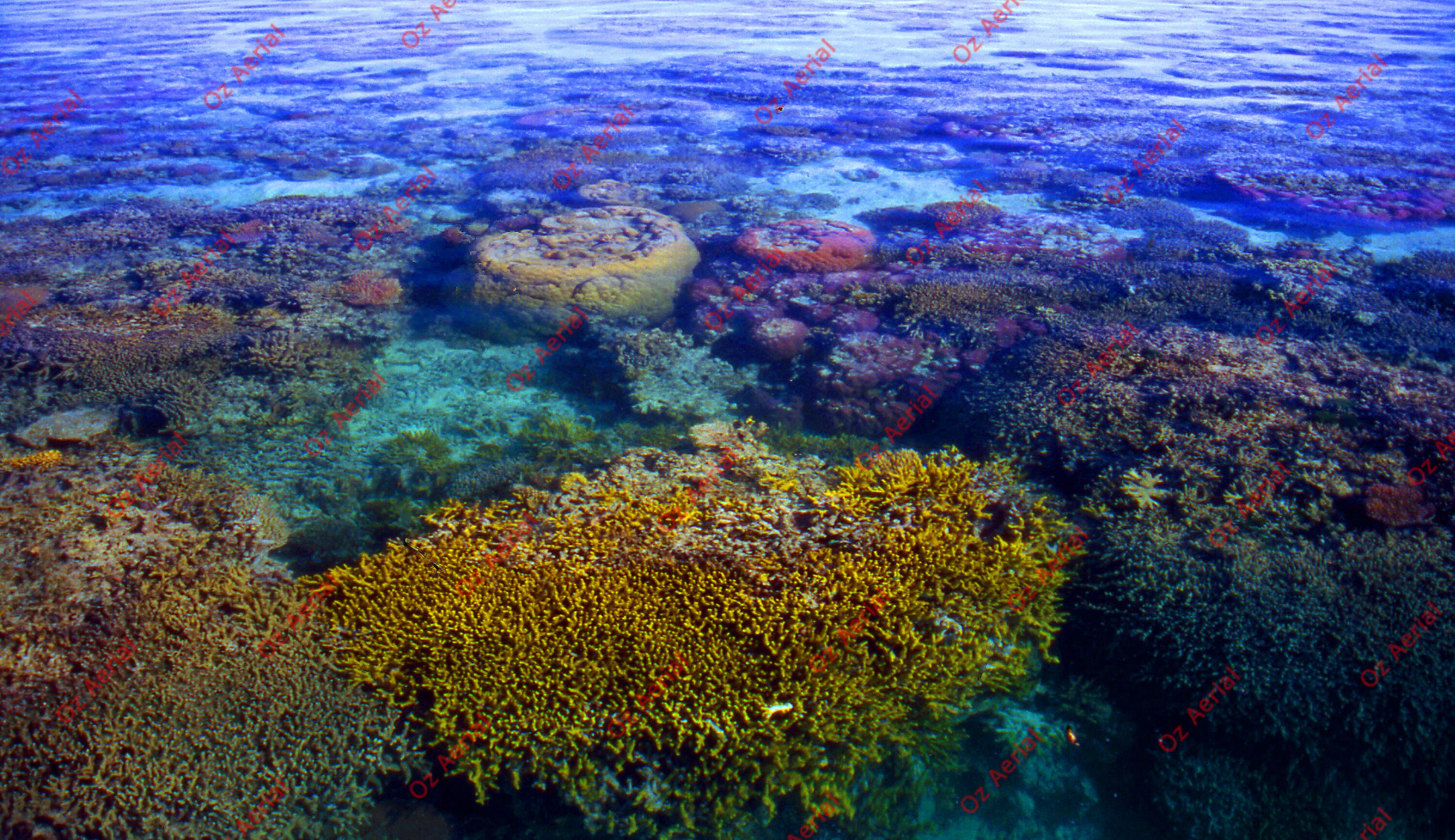 Rainforest to Reef&nbsp;&nbsp;–&nbsp;&nbsp;6095e0c90028f_i61.jpg