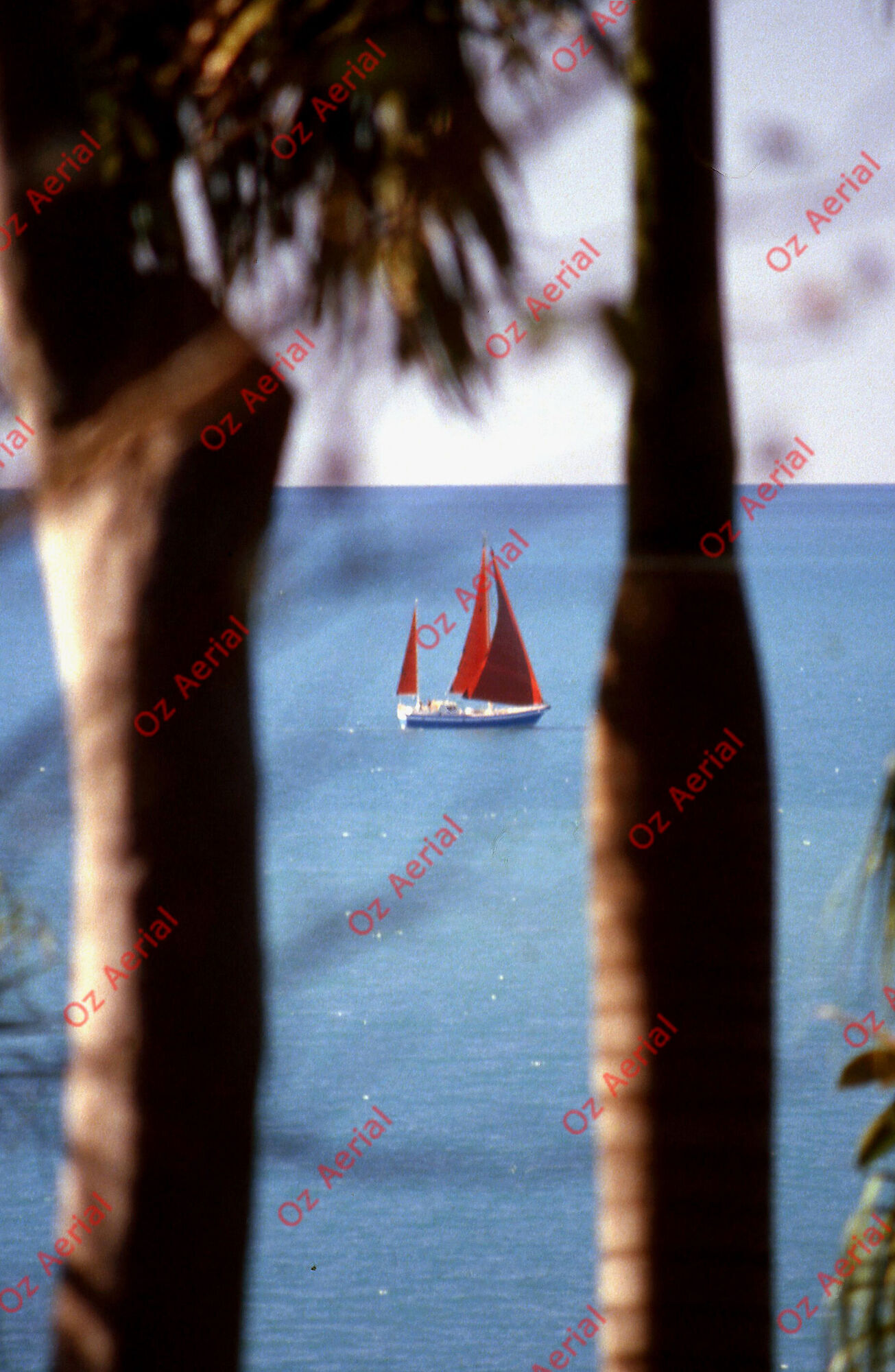 Airlie Beach&nbsp;&nbsp;–&nbsp;&nbsp;6094b71e24ed4_a29.jpg