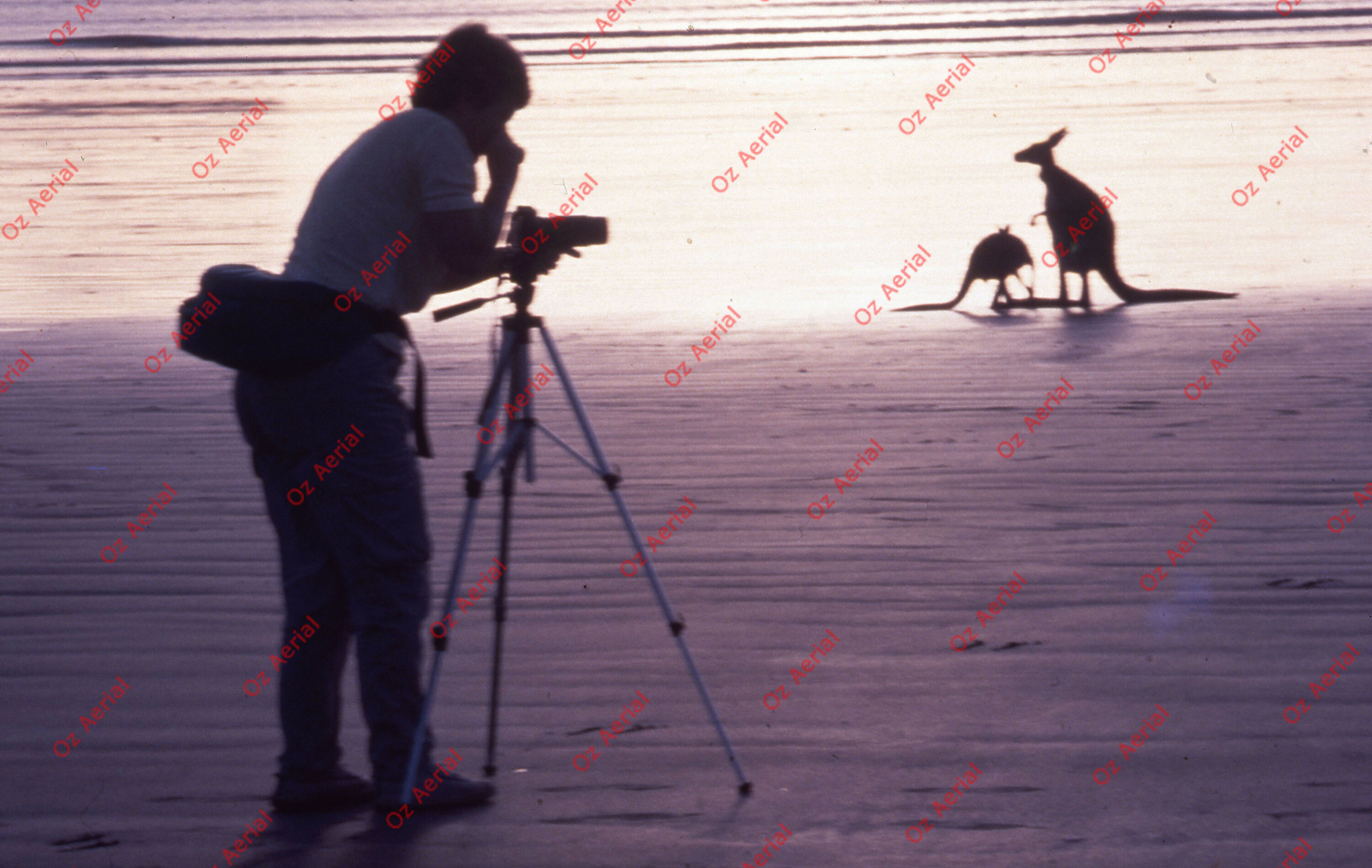 Airlie Beach&nbsp;&nbsp;–&nbsp;&nbsp;6094b73f85cc0_a57.jpg