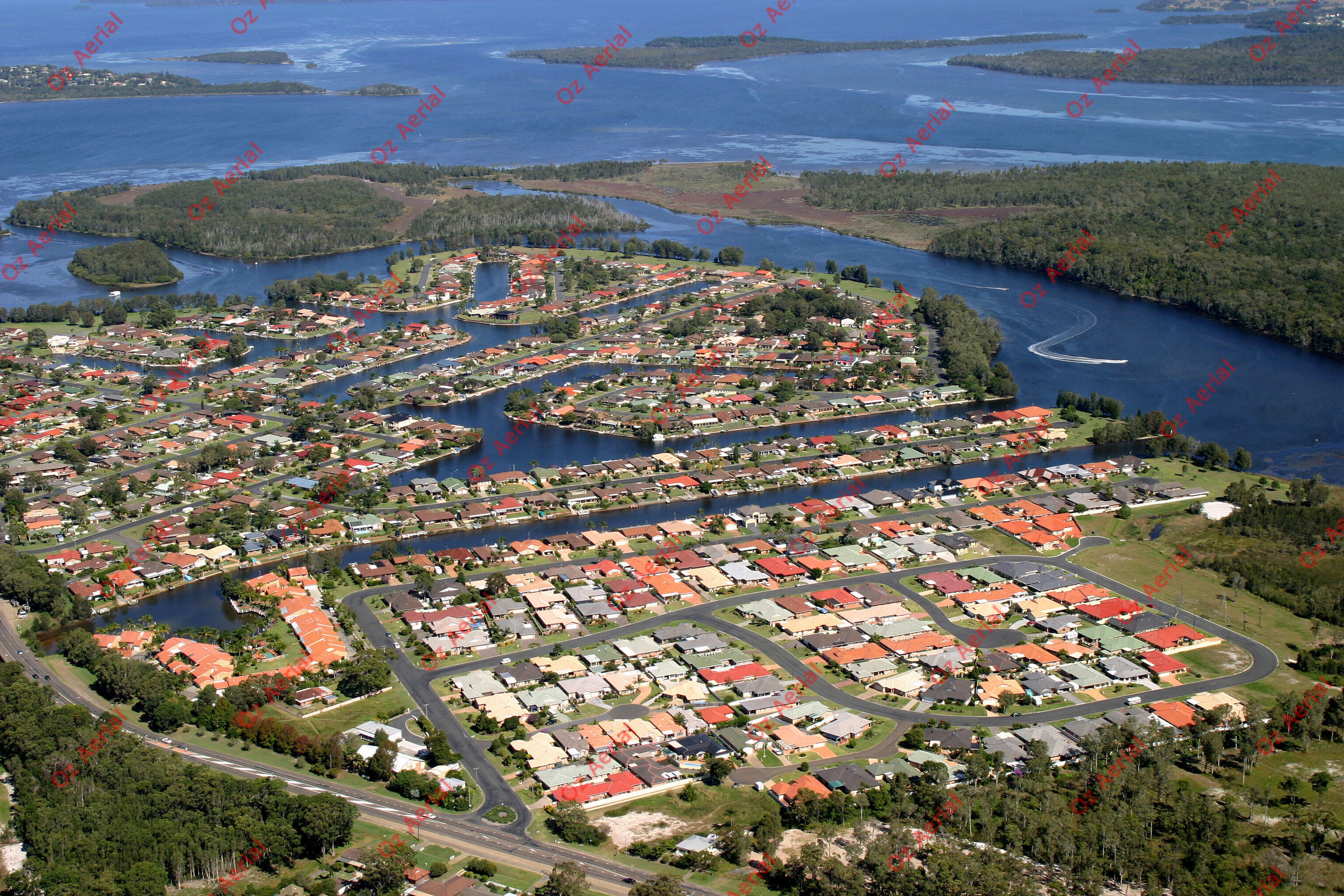 Forster Keys&nbsp;&nbsp;–&nbsp;&nbsp;262_6300.jpg