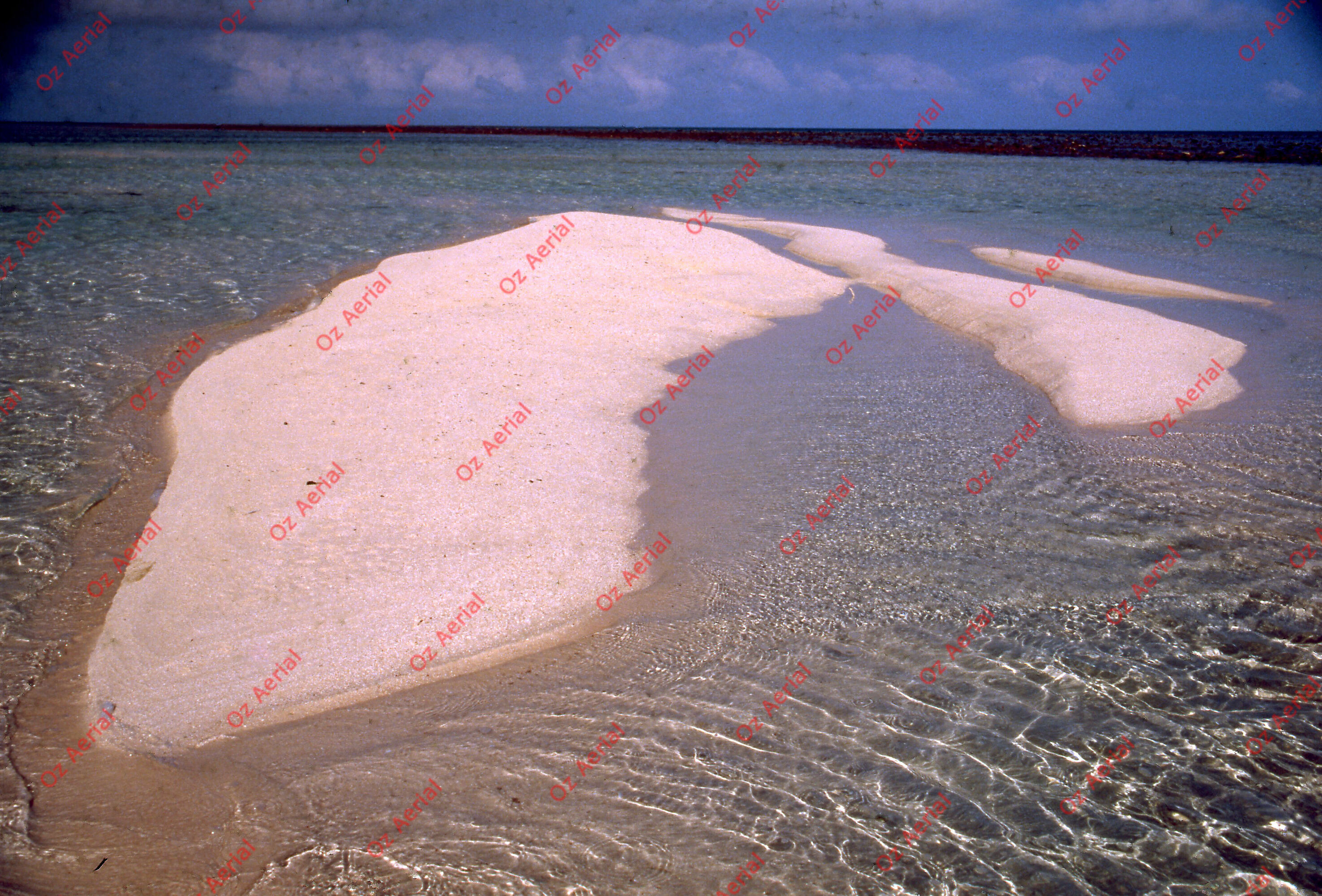 Something Fishy&nbsp;&nbsp;–&nbsp;&nbsp;6095ecd8d5f9a_j45.jpg