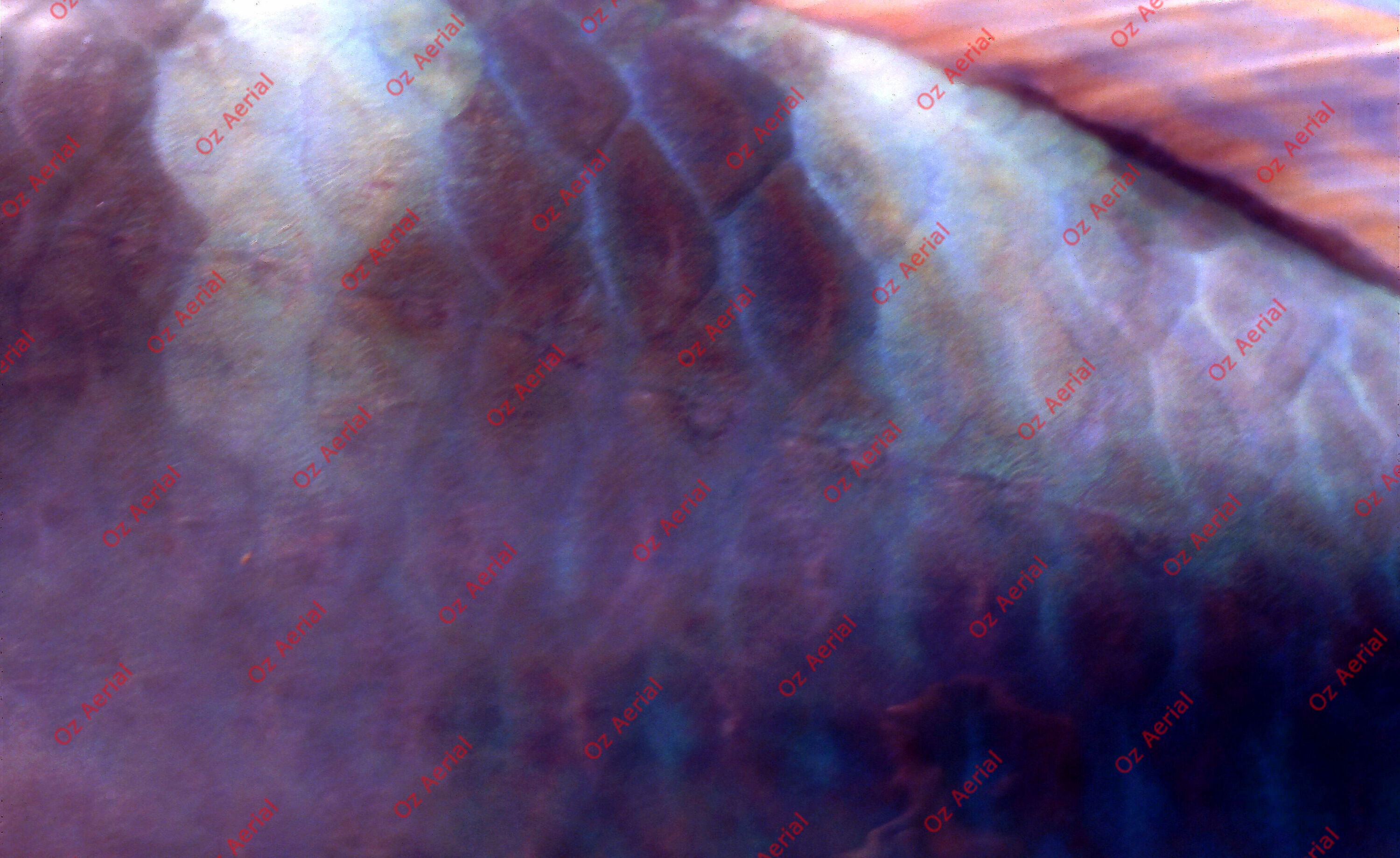 Something Fishy&nbsp;&nbsp;–&nbsp;&nbsp;6095ecf6469cf_j83.jpg