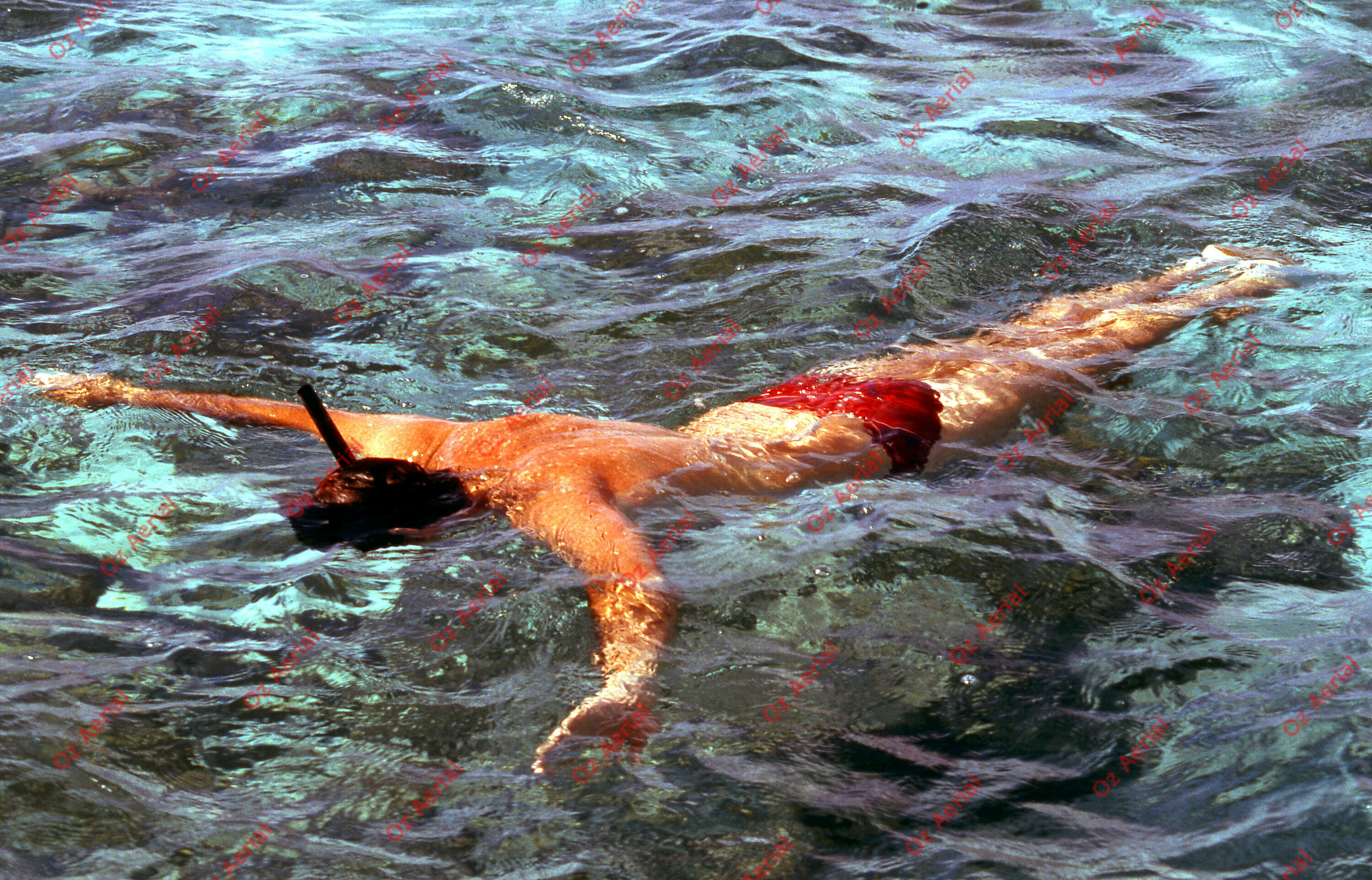 Something Fishy&nbsp;&nbsp;–&nbsp;&nbsp;6095ece3e191a_j55.jpg