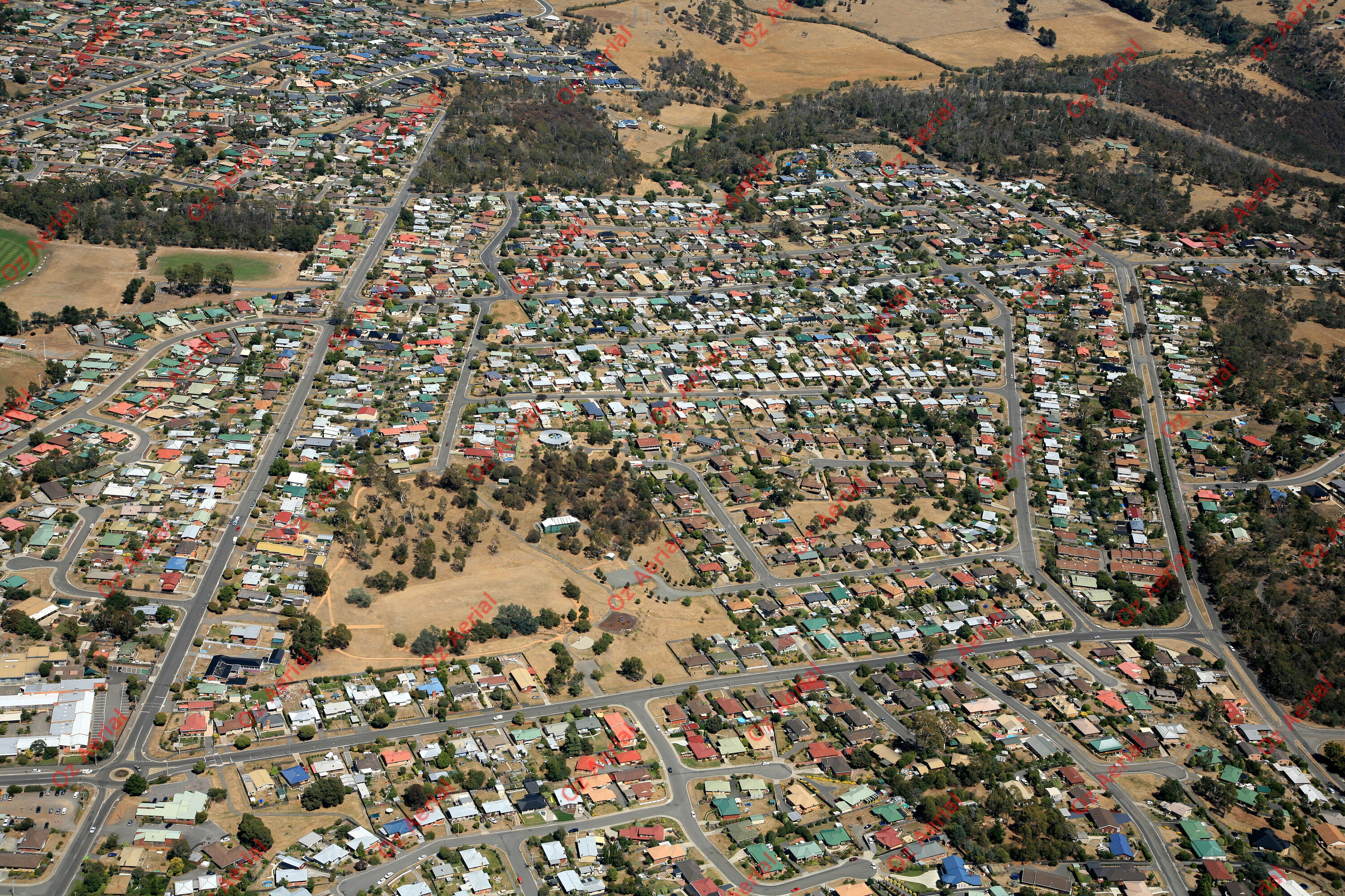 Summer Hill&nbsp;&nbsp;–&nbsp;&nbsp;IMG_1303.JPG