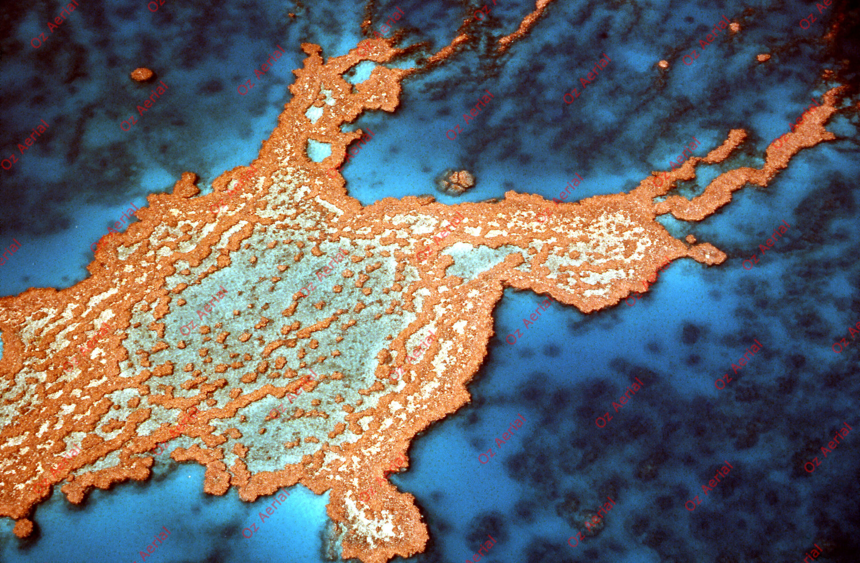 Rainforest to Reef&nbsp;&nbsp;–&nbsp;&nbsp;6095e0f0bd47a_i95.jpg