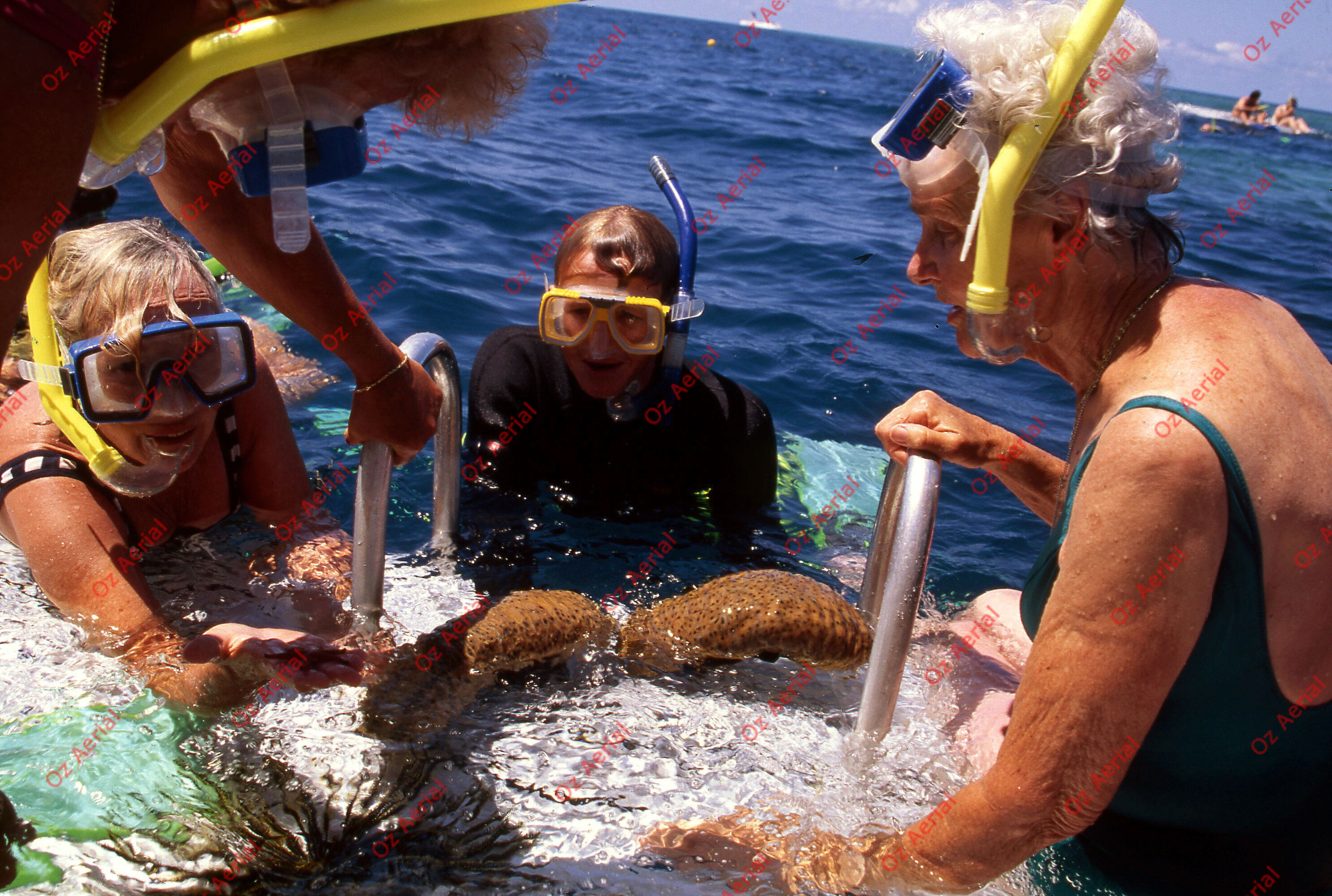 Something Fishy&nbsp;&nbsp;–&nbsp;&nbsp;6095ecca04056_j27.jpg