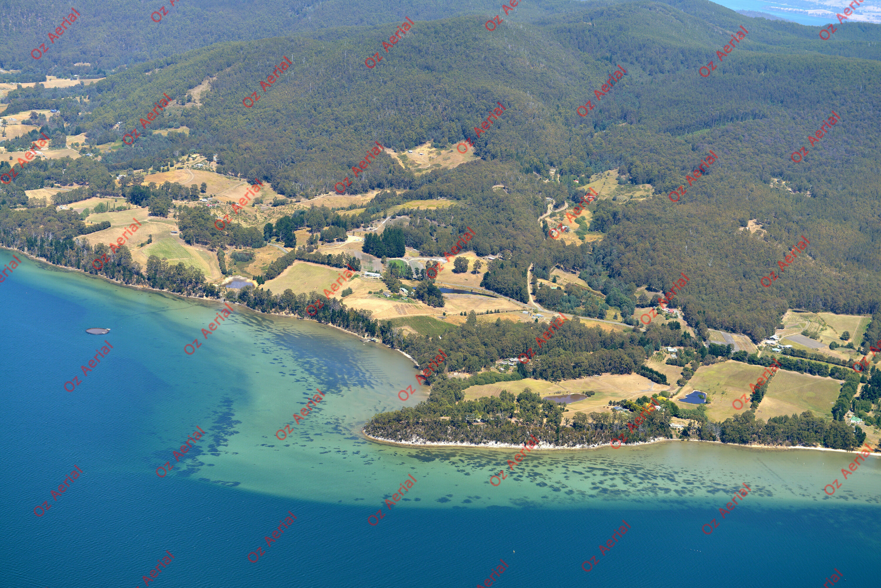 Birchs Bay&nbsp;&nbsp;–&nbsp;&nbsp;DSC_4398.JPG