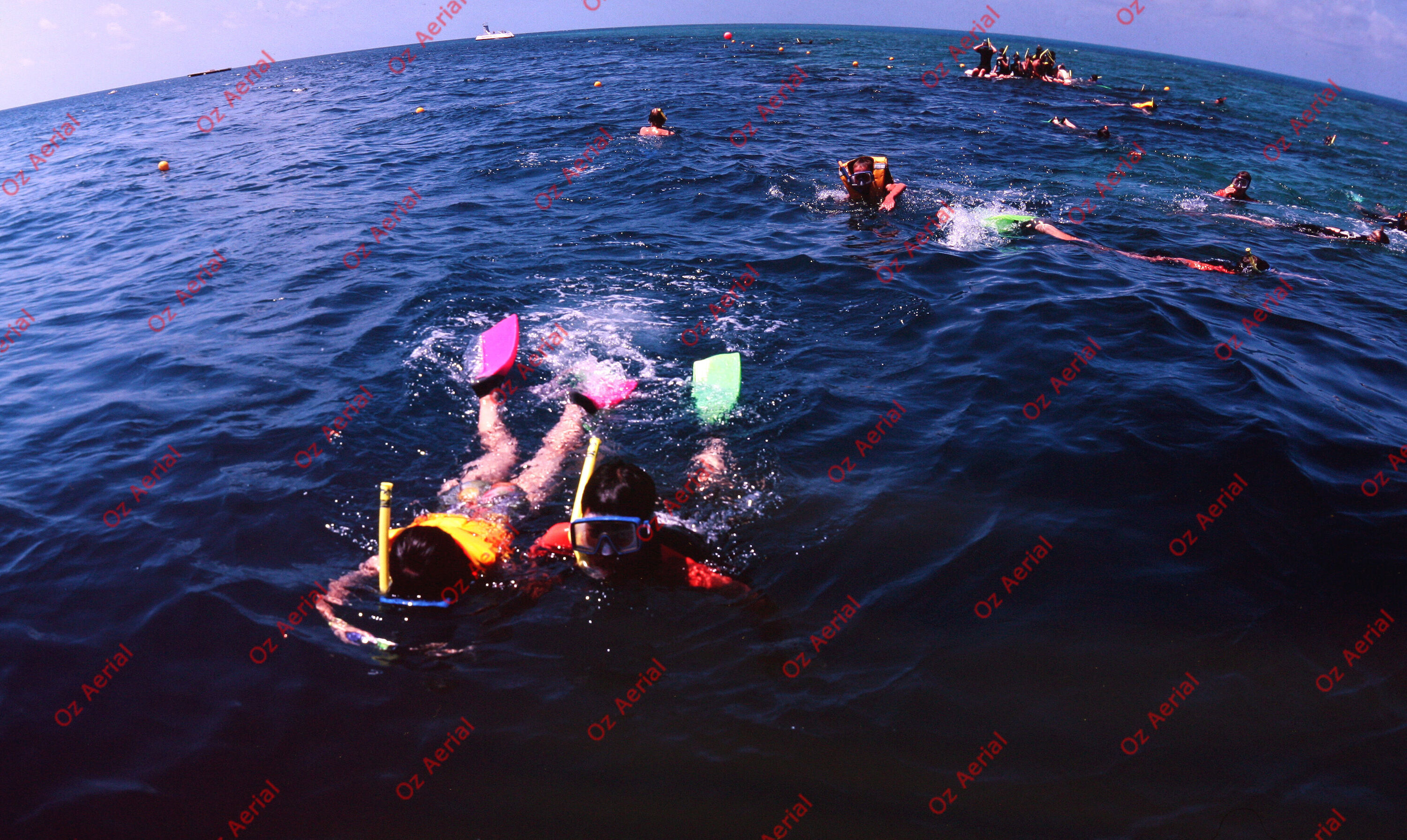 Rainforest to Reef&nbsp;&nbsp;–&nbsp;&nbsp;6095e0e6a0118_i89.JPG