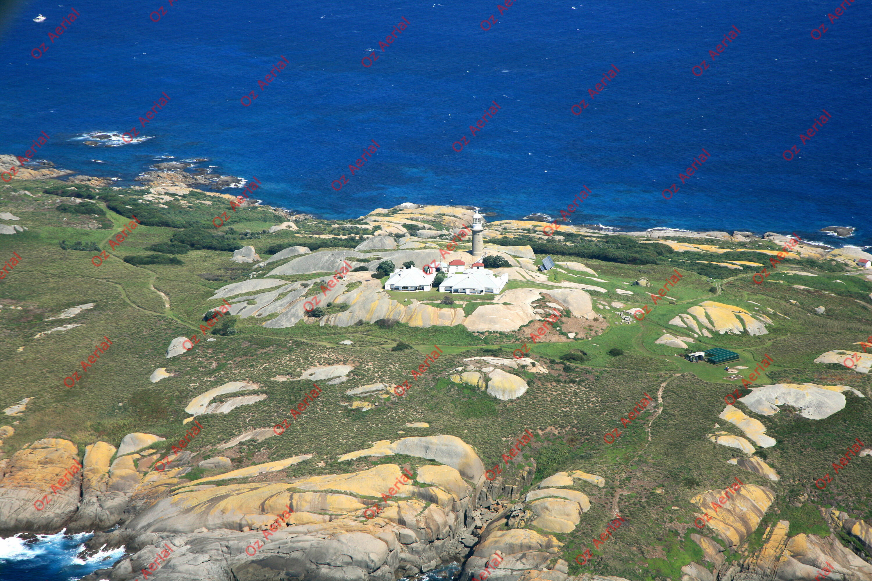 Montague Island&nbsp;&nbsp;–&nbsp;&nbsp;IMG_9816.JPG