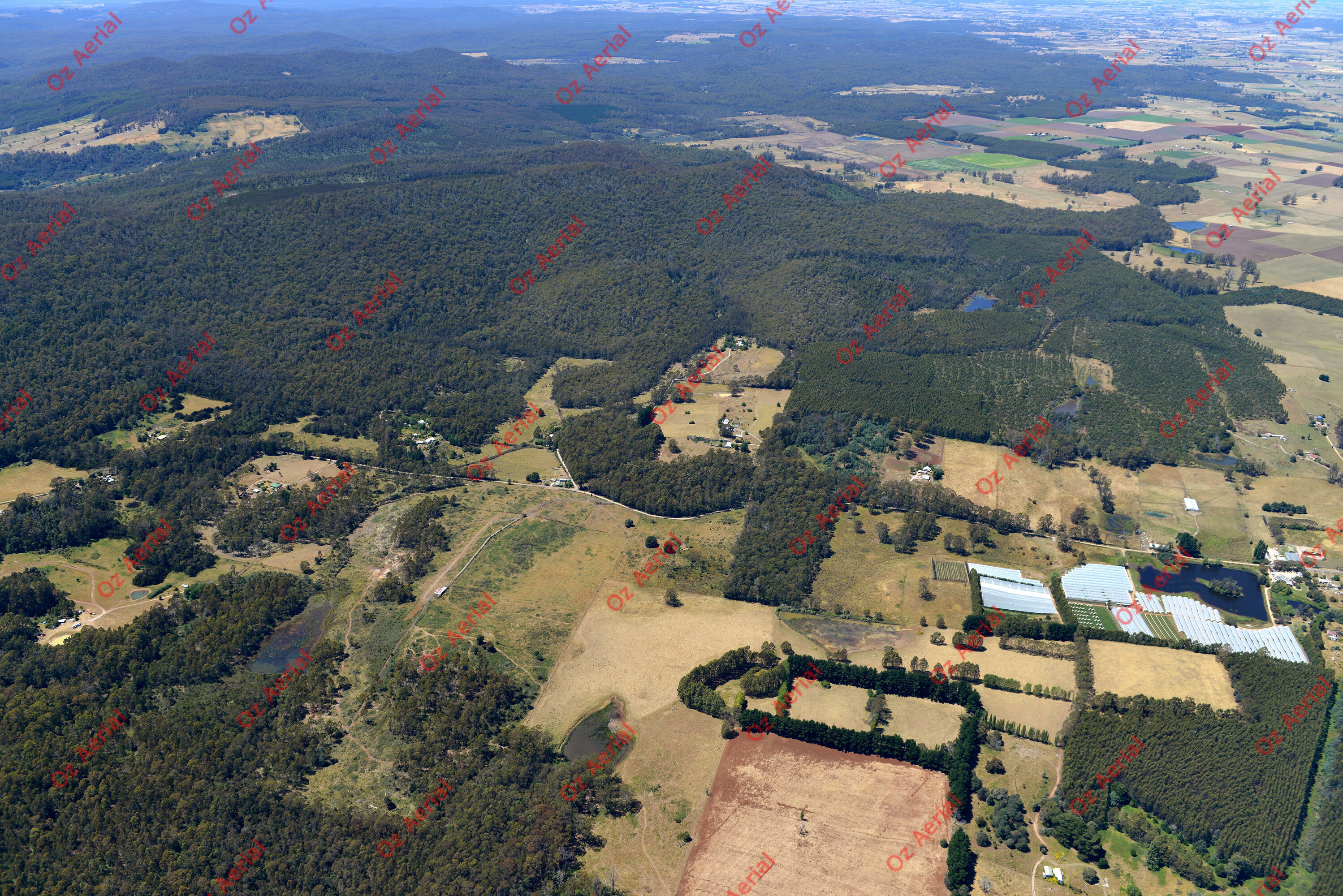 Christmas Hills&nbsp;&nbsp;–&nbsp;&nbsp;DSC_3601.JPG