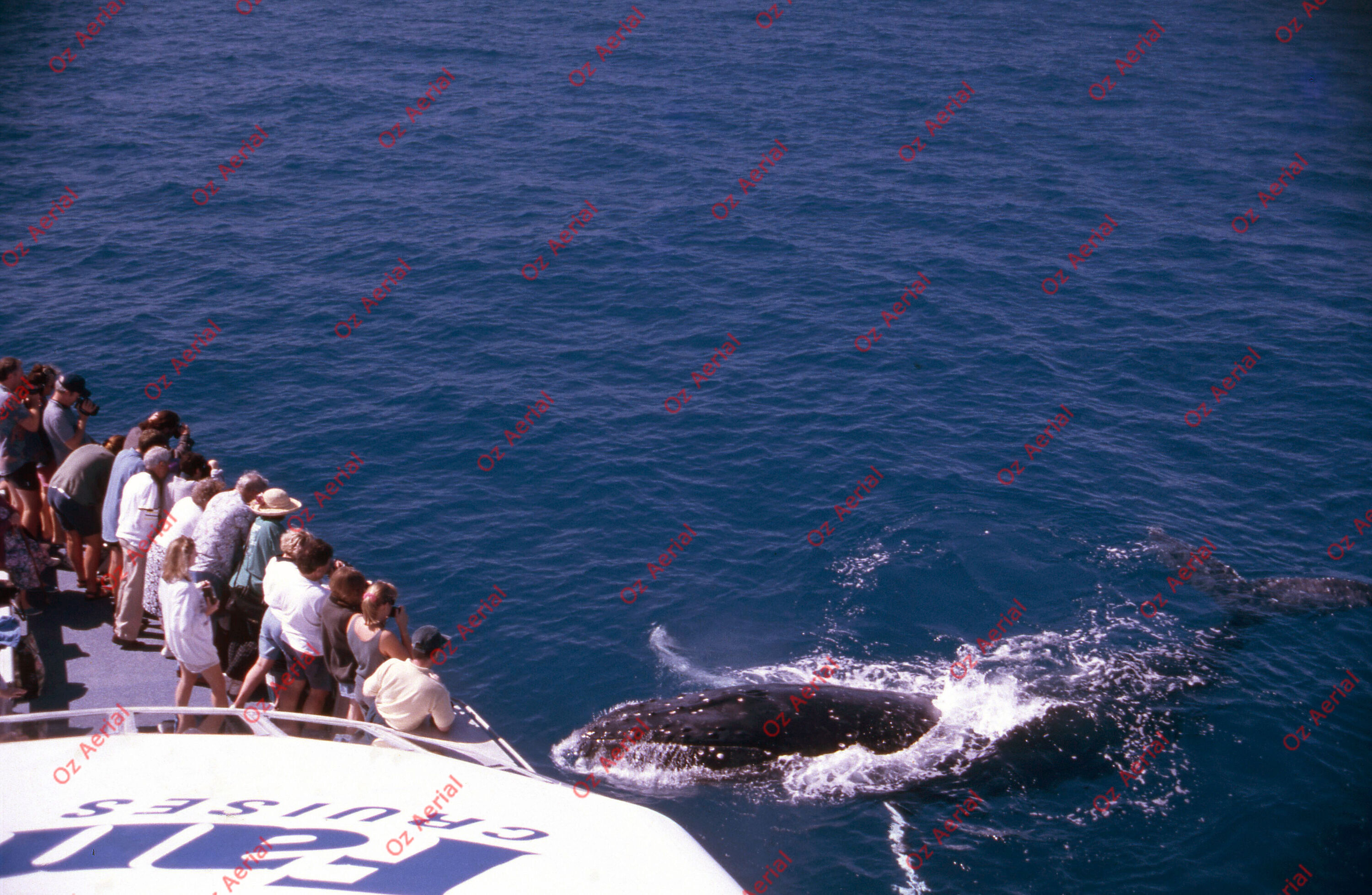 Something Fishy&nbsp;&nbsp;–&nbsp;&nbsp;6095ecf4628fb_j79.jpg