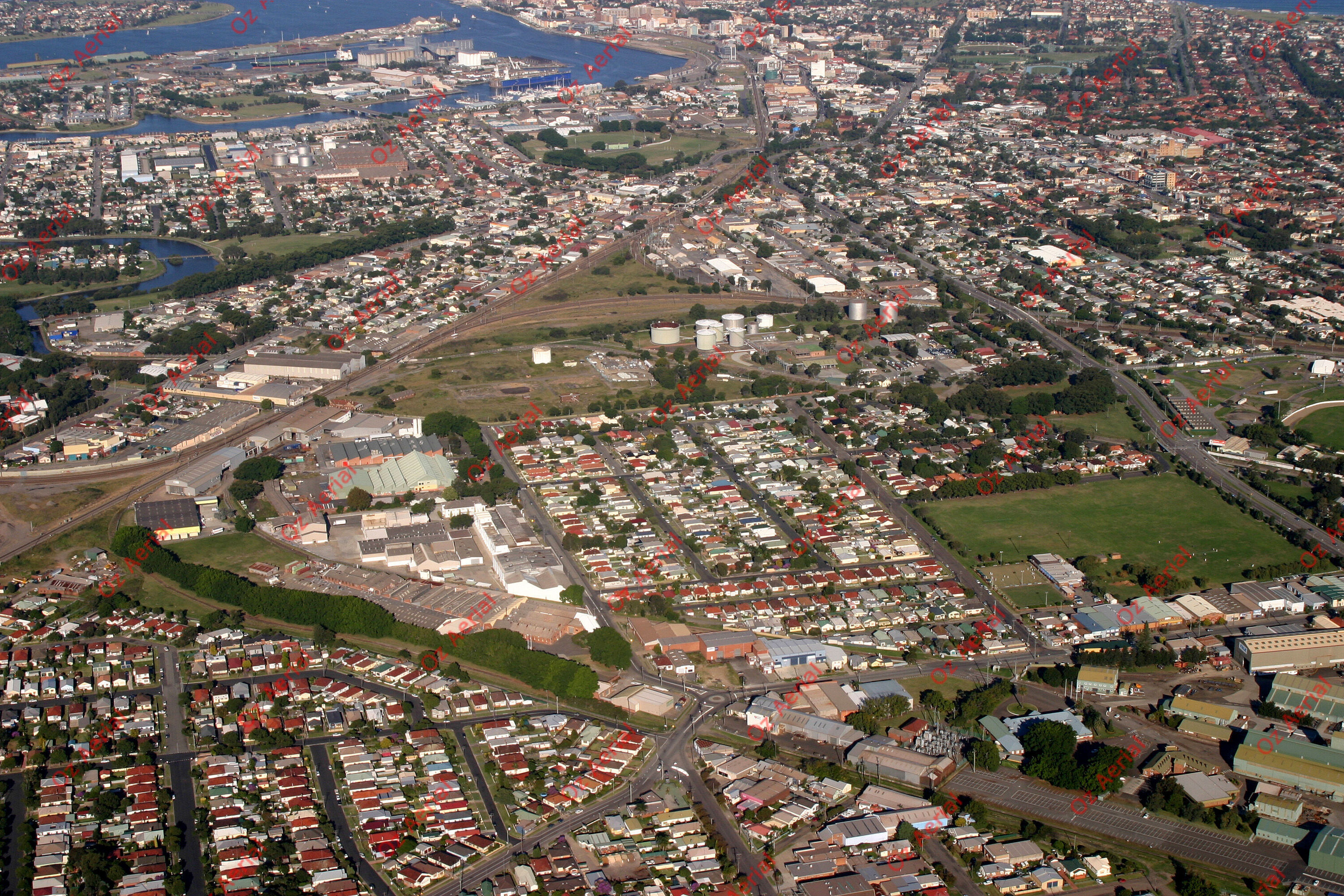 Waratah&nbsp;&nbsp;–&nbsp;&nbsp;256_5636.jpg