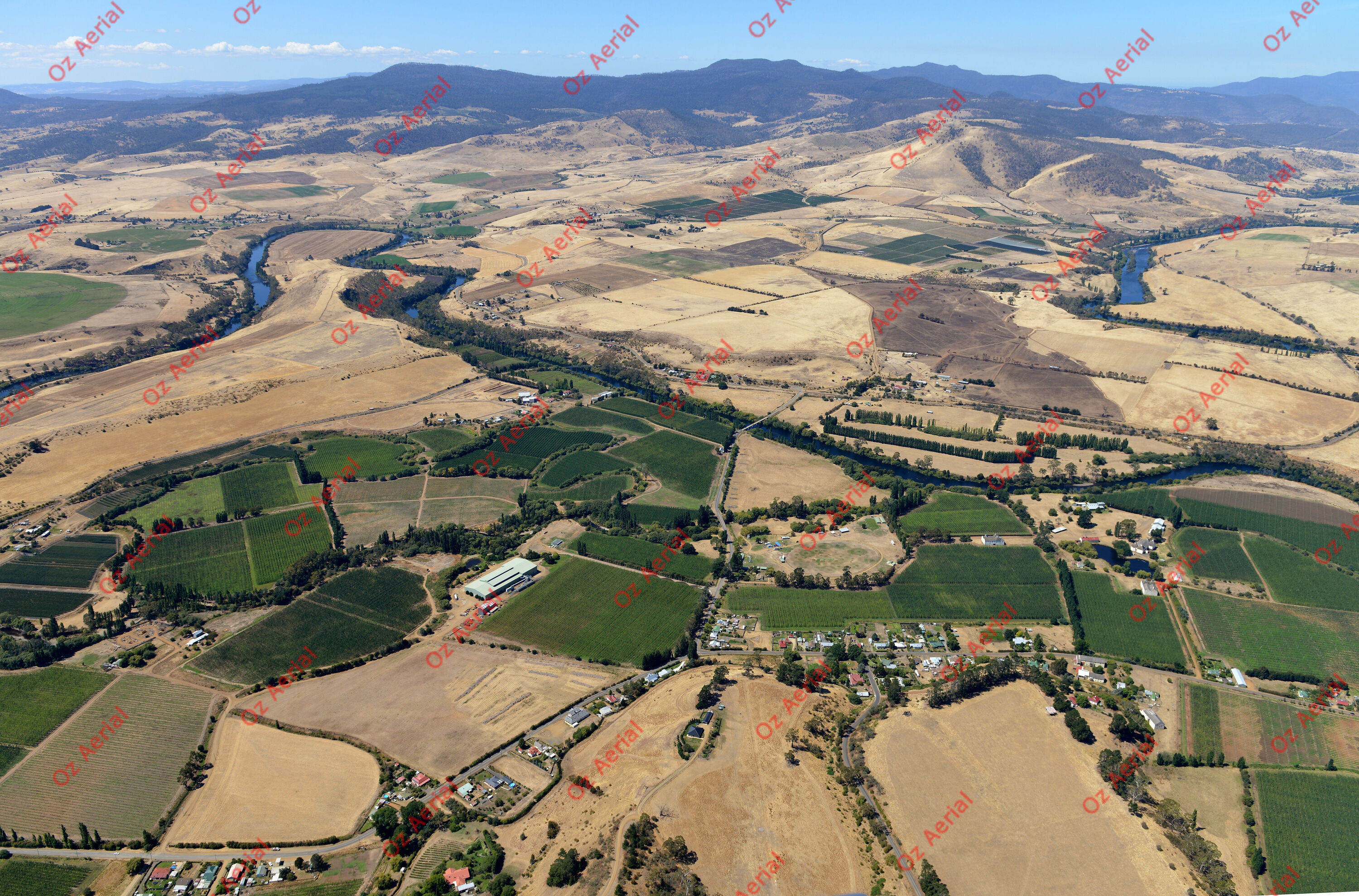 Bushy Park&nbsp;&nbsp;–&nbsp;&nbsp;DSC_4670.JPG