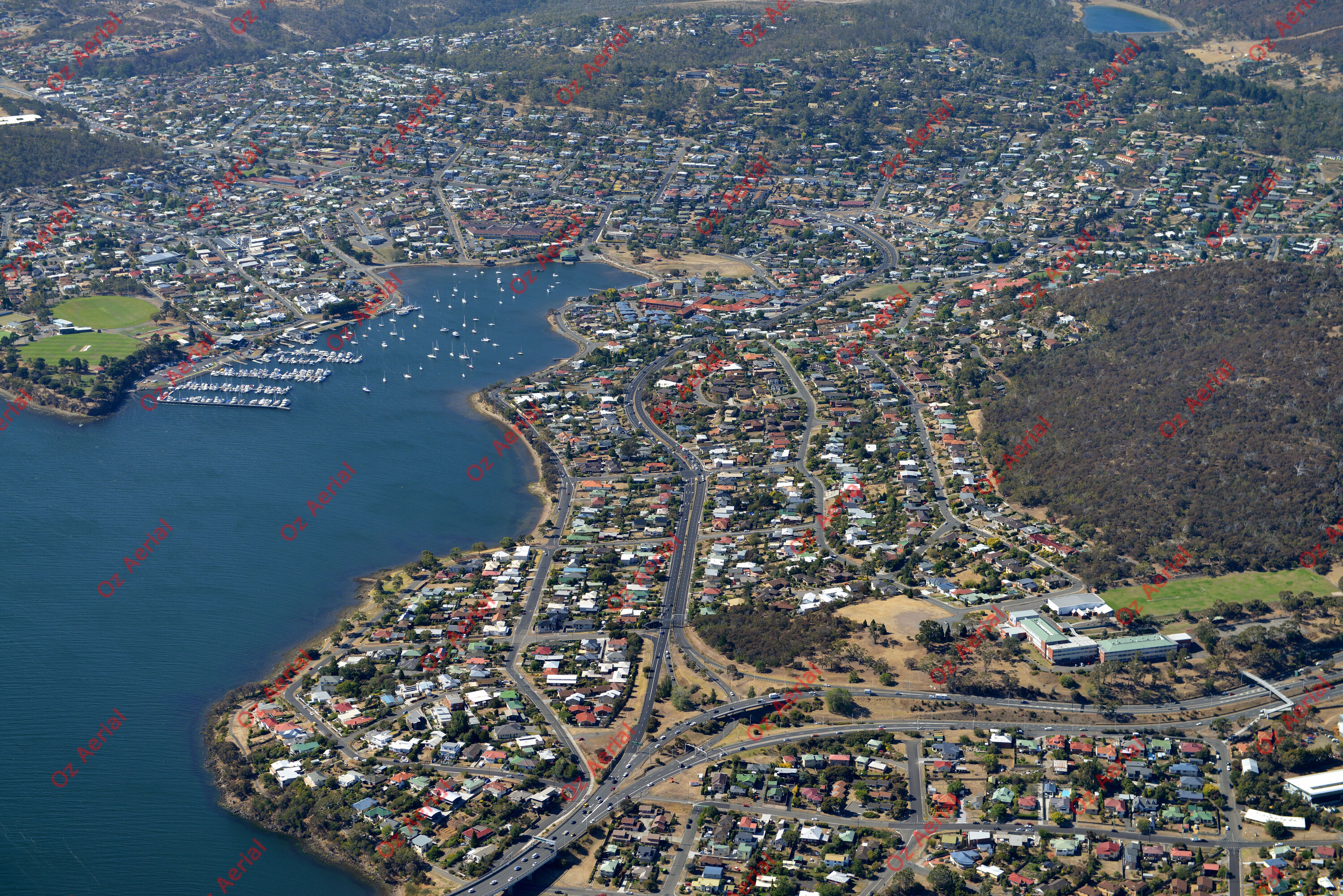 Rose Bay&nbsp;&nbsp;–&nbsp;&nbsp;DSC_5231.JPG