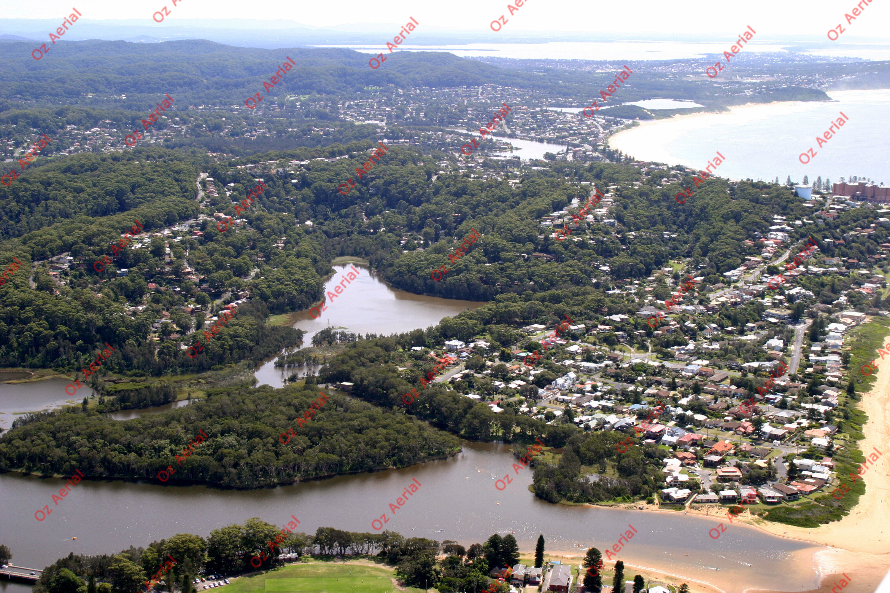 North Avoka&nbsp;&nbsp;–&nbsp;&nbsp;248_4858.jpg