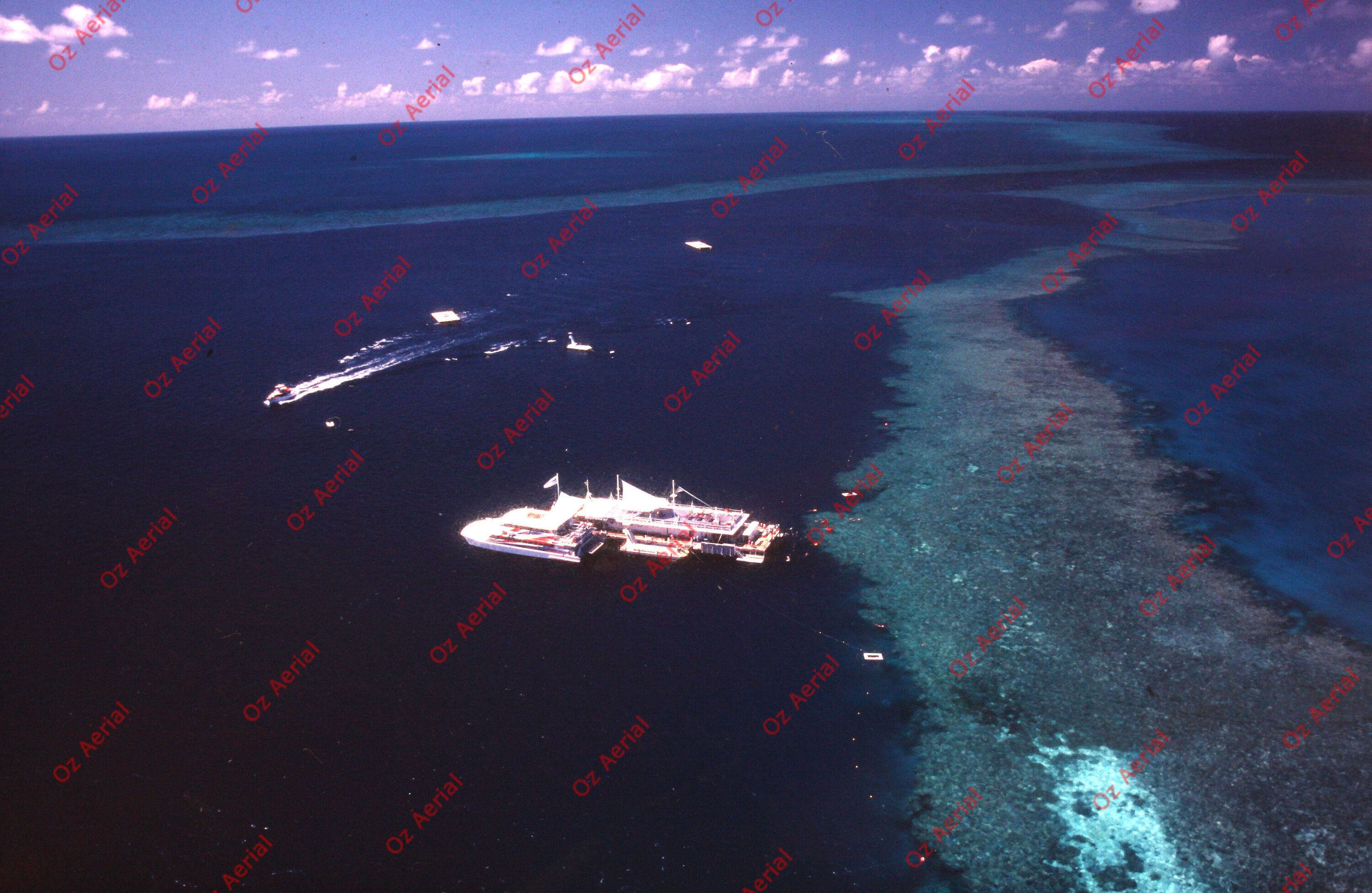 Rainforest to Reef&nbsp;&nbsp;–&nbsp;&nbsp;6095e0e002819_i84.JPG