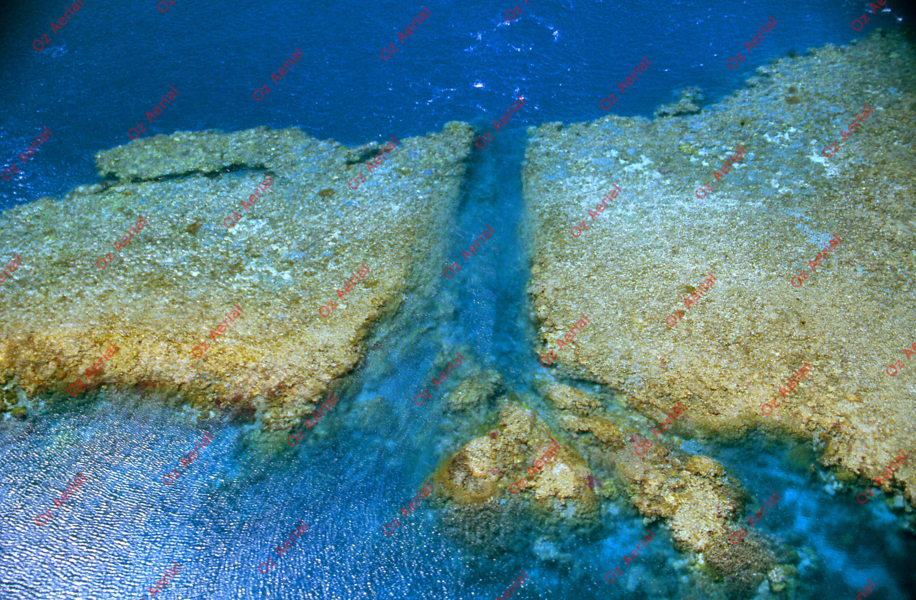 Rainforest to Reef&nbsp;&nbsp;–&nbsp;&nbsp;6095e0ca963ac_i57.jpg